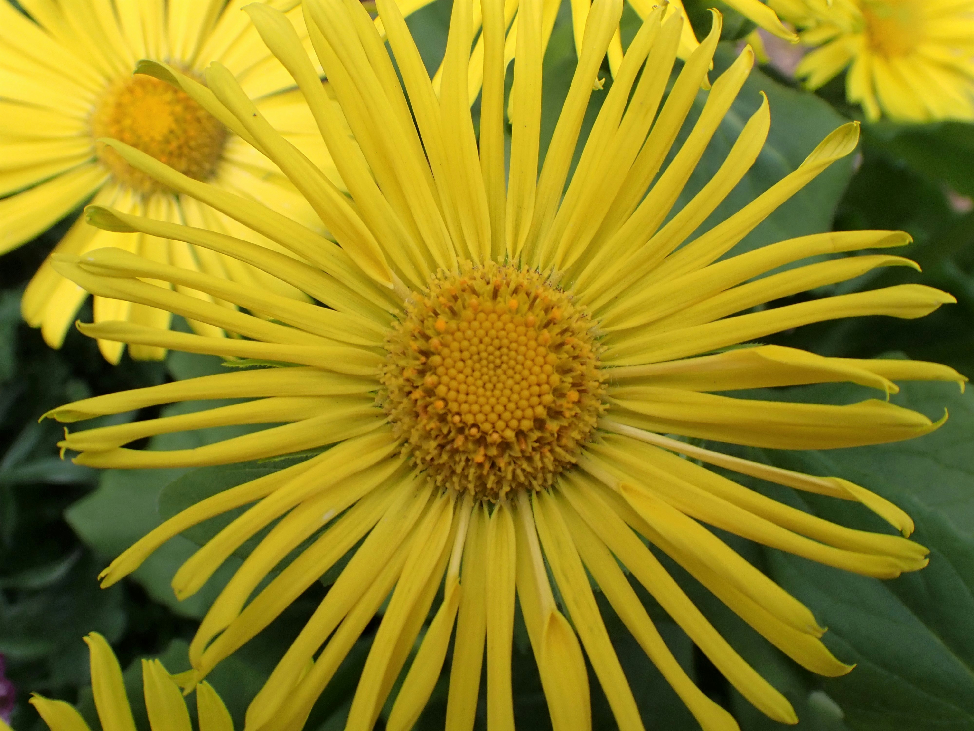 Photo by mostlymarvelling