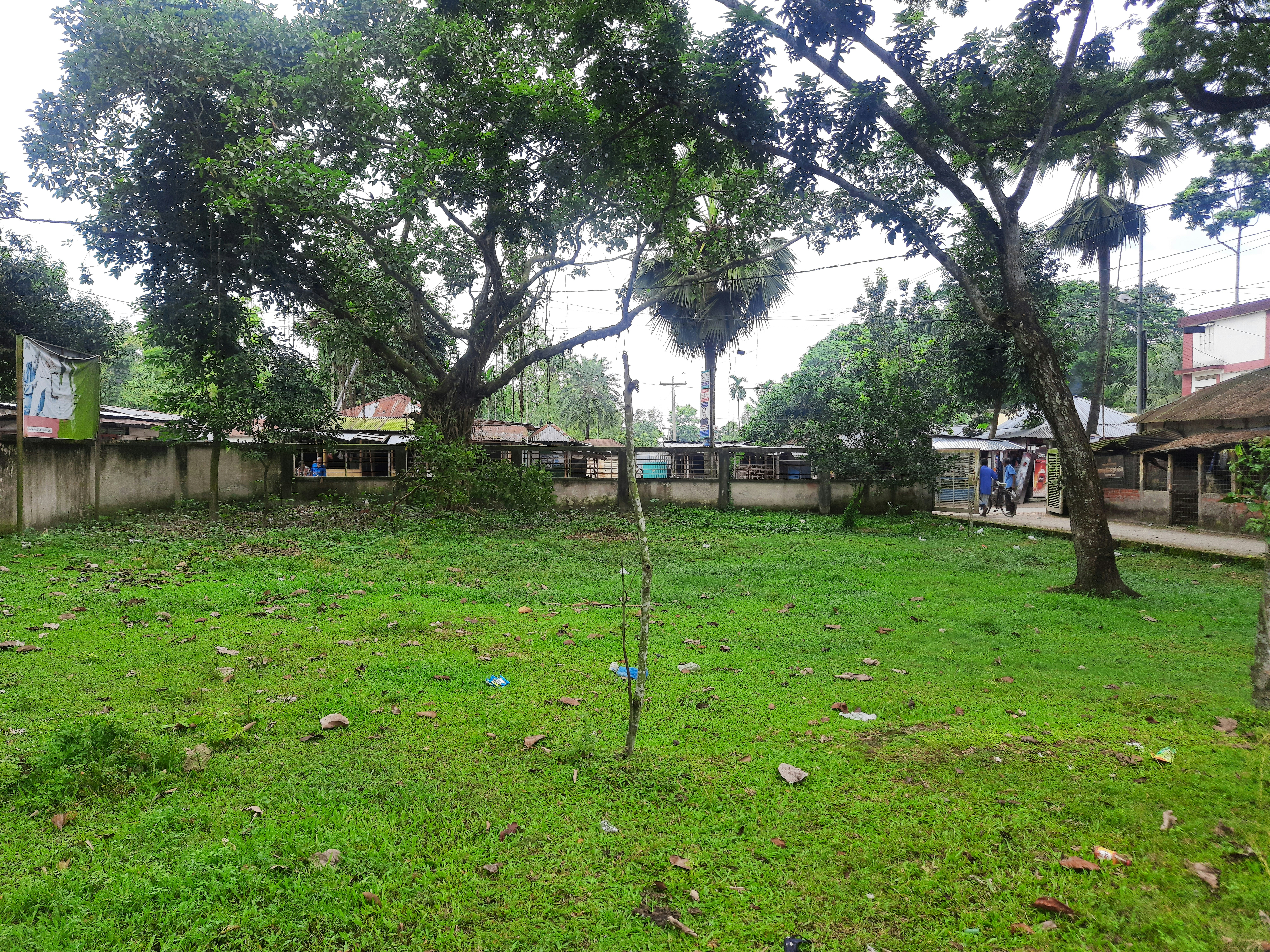 Photo by toukirahmed