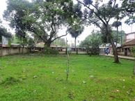 Outdoor yard area cleared of leaves and animal droppings, looking neat and inviting.