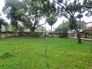 A lush green lawn with scattered leaves under a canopy of tall trees. A wall encloses the area, with houses visible beyond it. Two people are standing near a small structure in the background, and scattered debris like plastic can be seen on the grass.