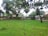 A satisfied customer standing next to a clean yard after debris removal.