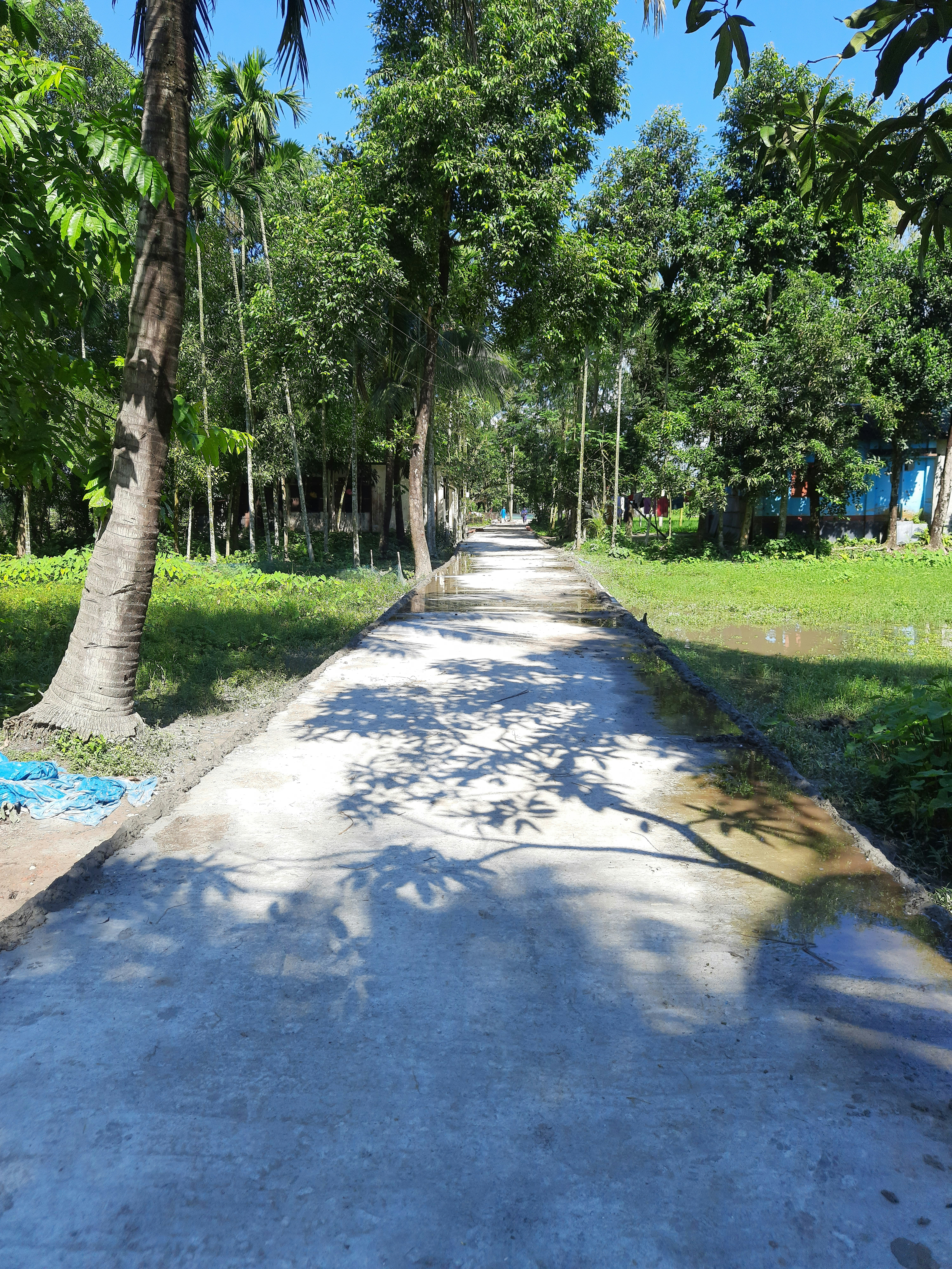 Photo by toukirahmed