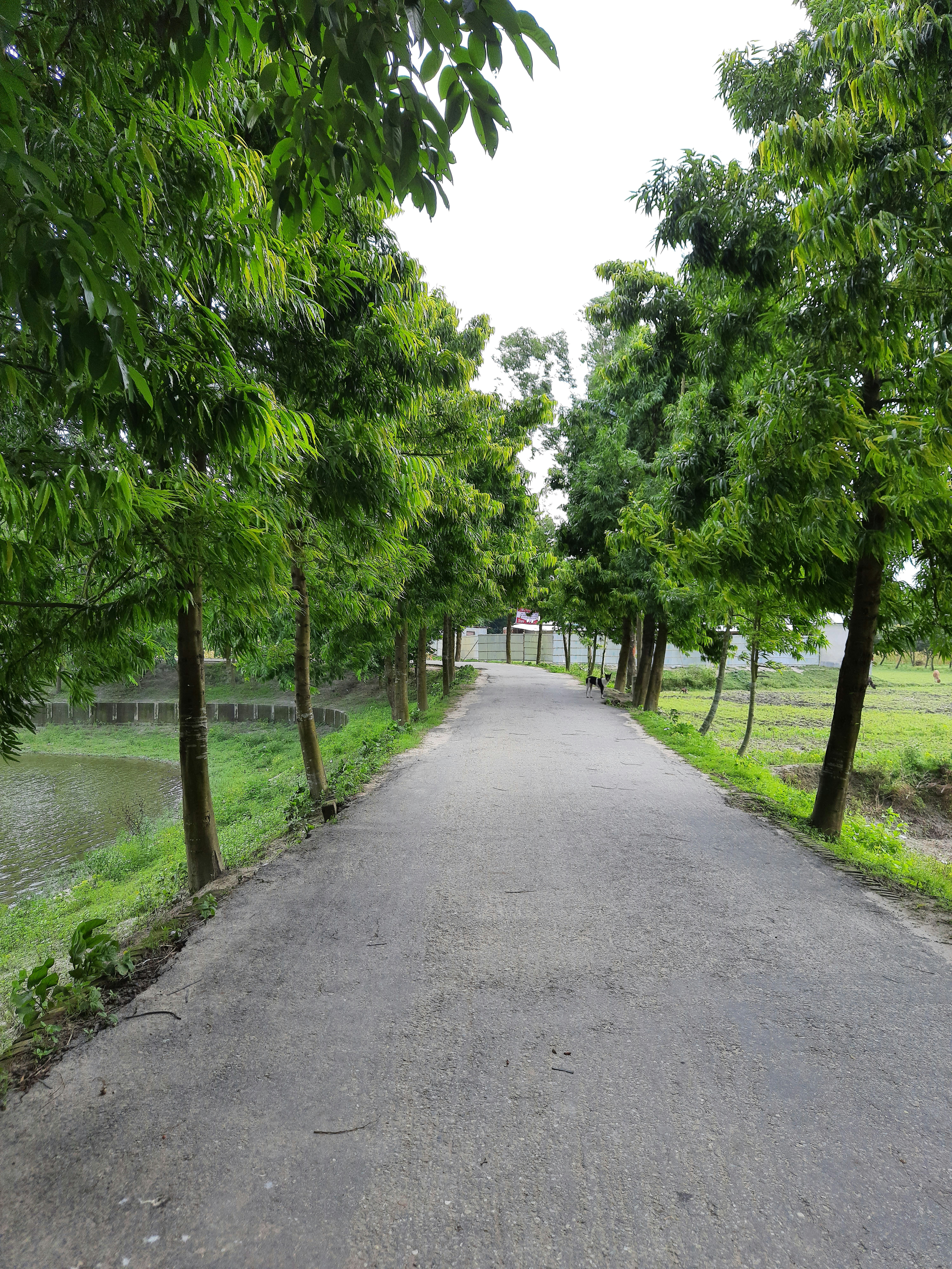 Photo by toukirahmed