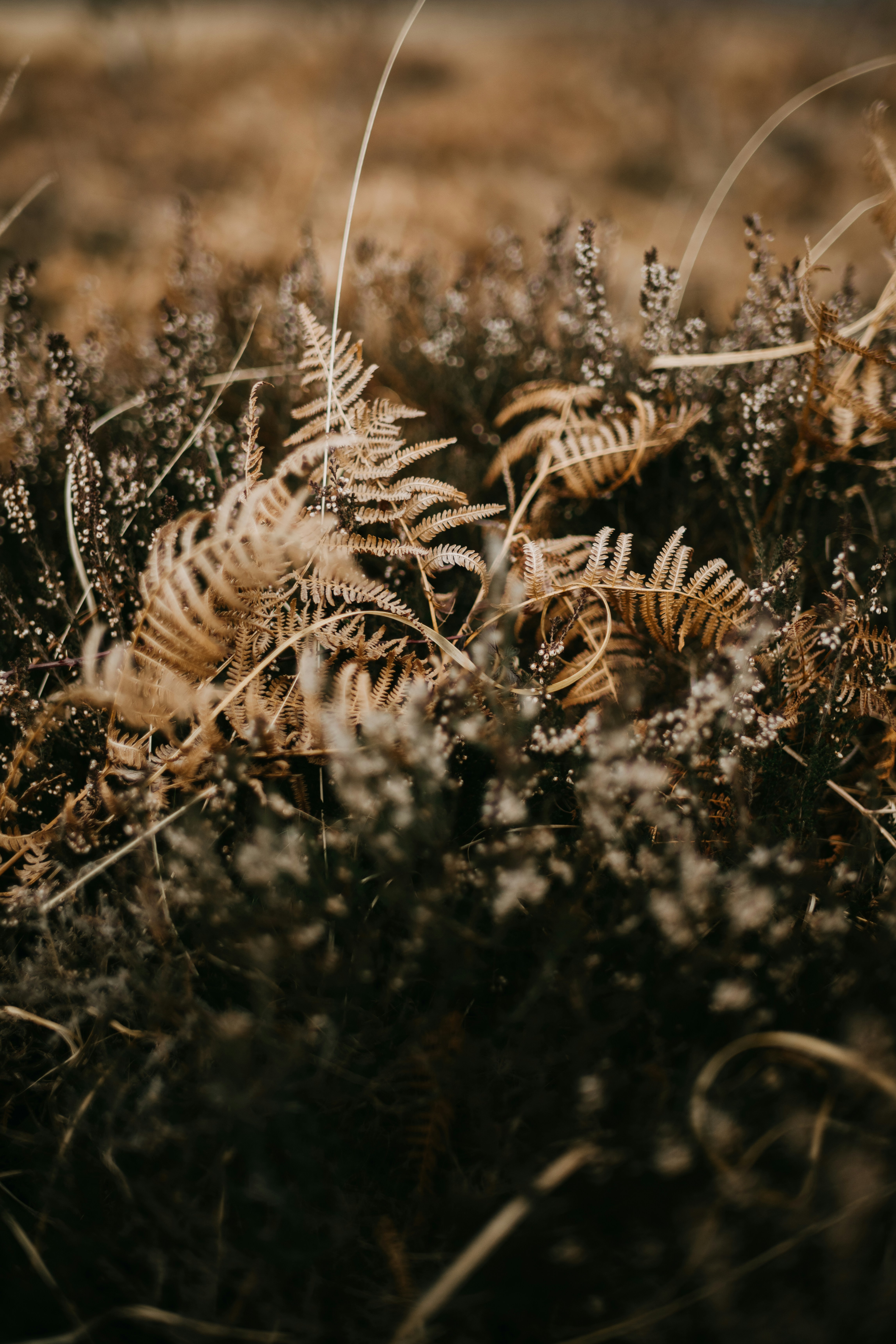 Photo by anniespratt