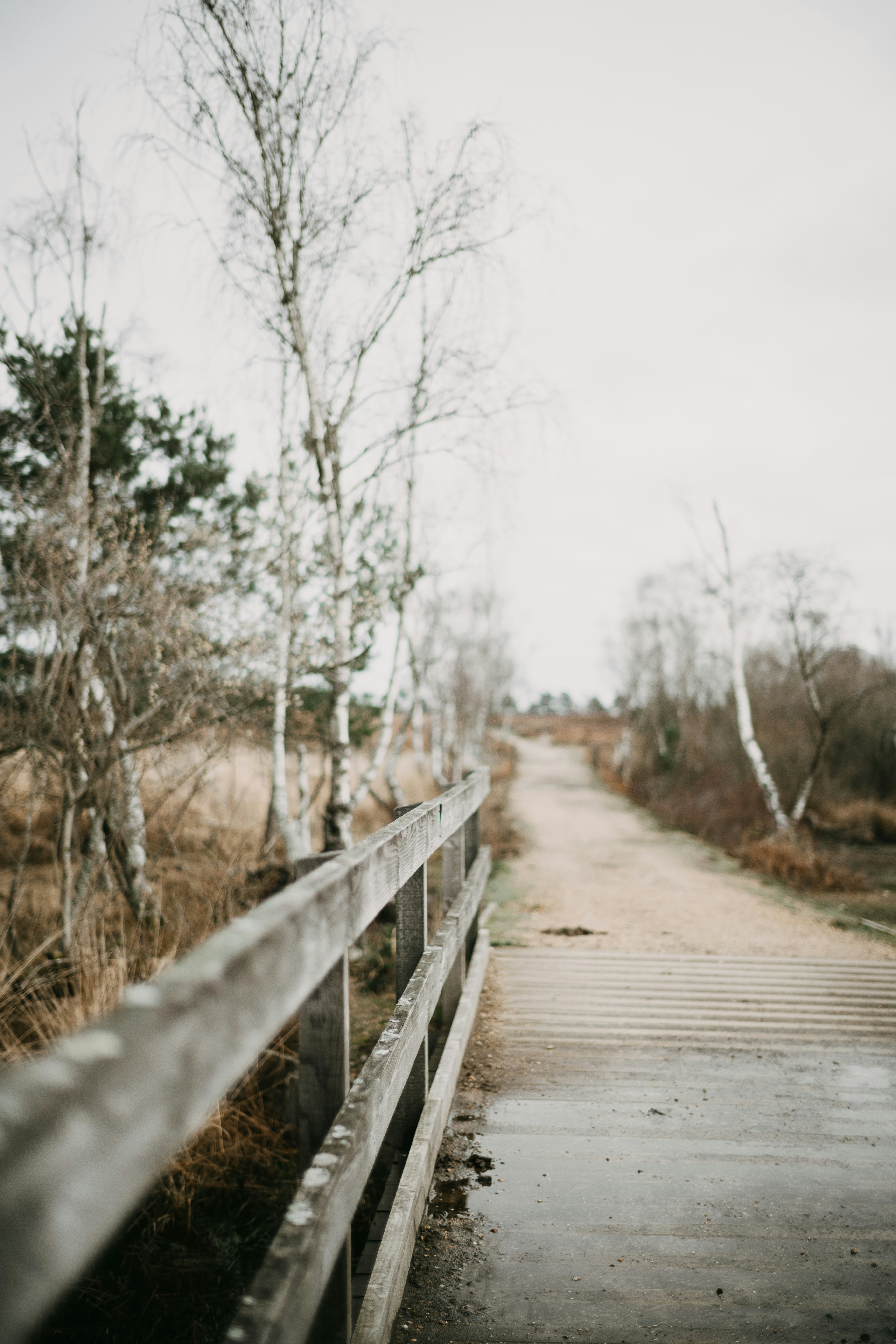 Photo by anniespratt