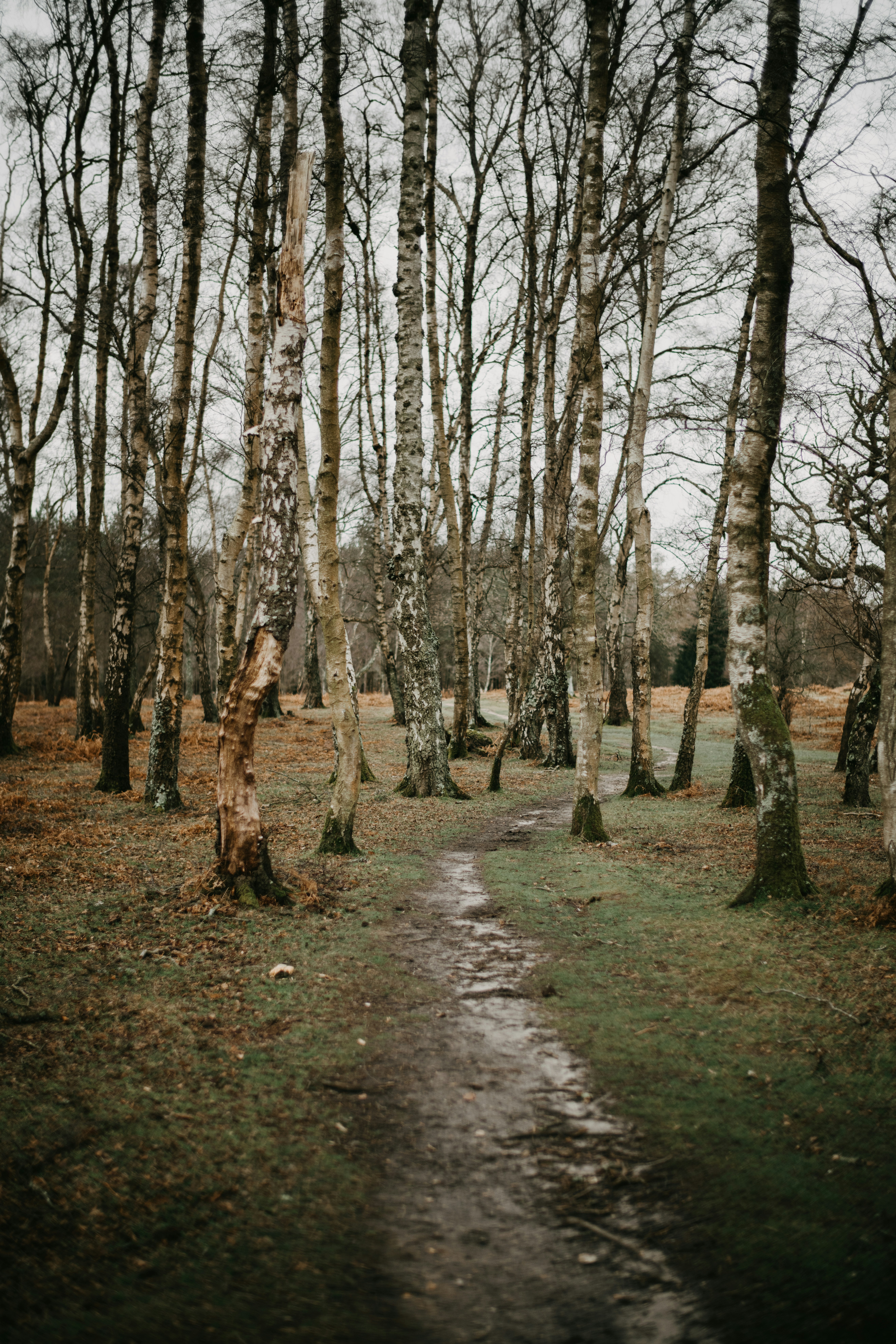 Photo by anniespratt