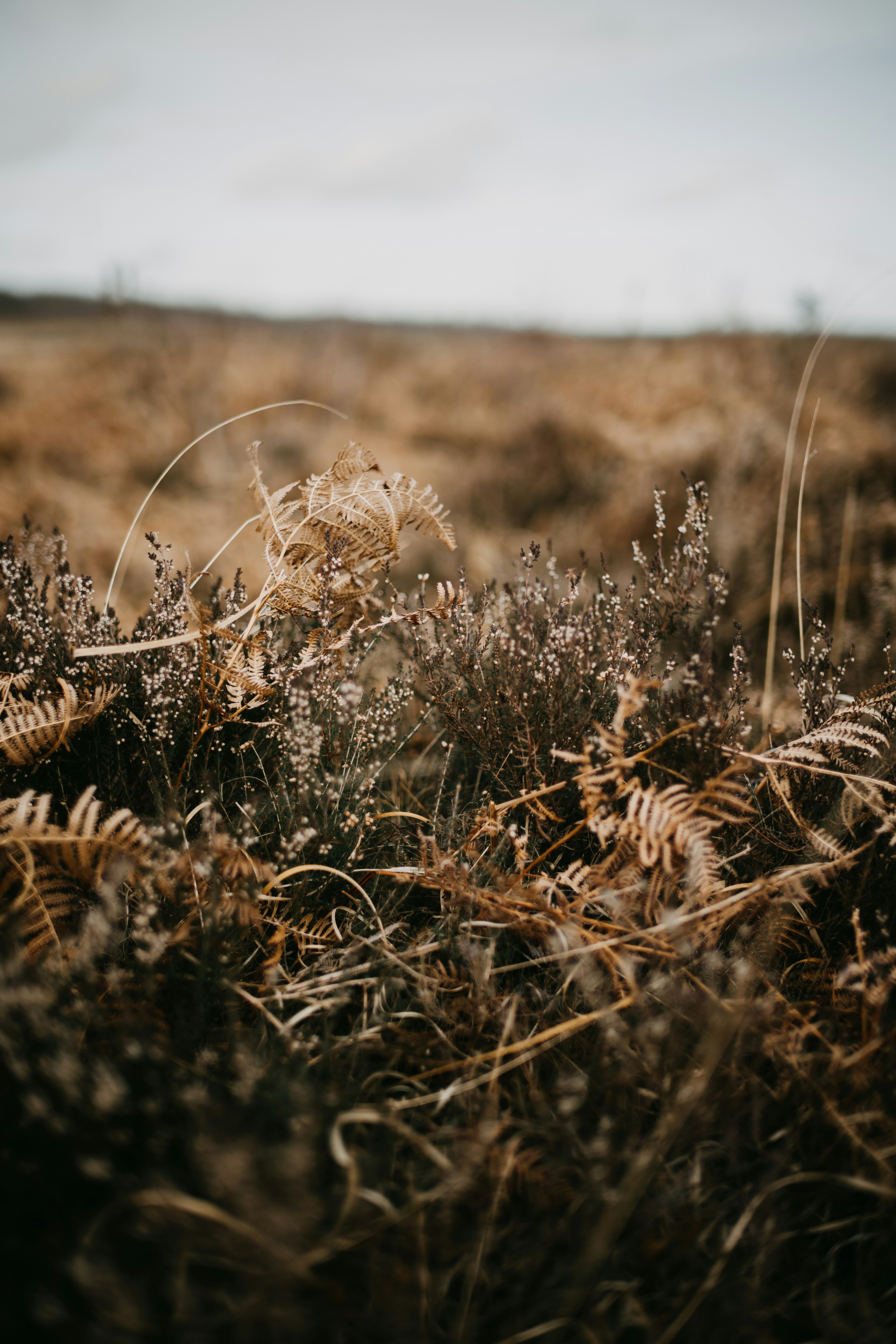 Photo by anniespratt