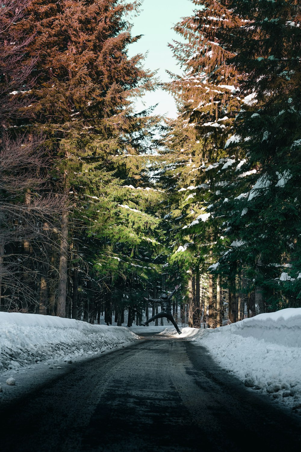 uma estrada coberta de neve cercada por árvores altas