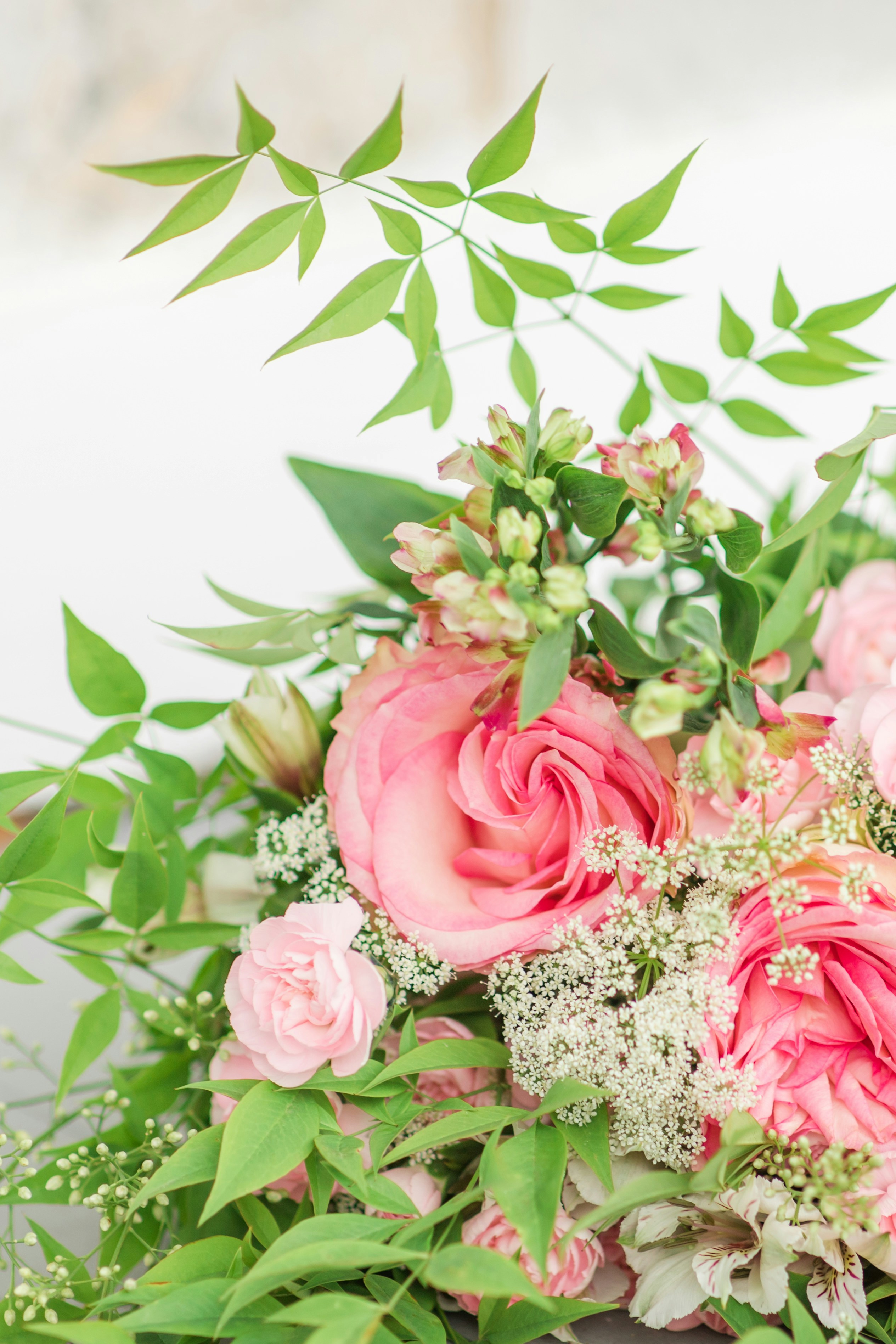 Photo by maryannaphoto