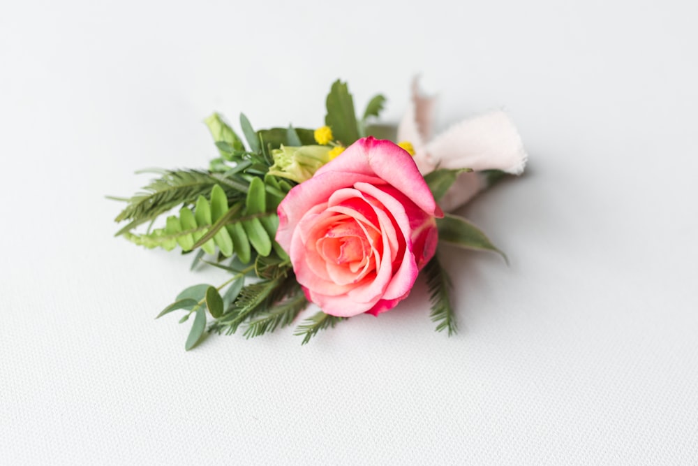 a single pink rose with green leaves on a white surface