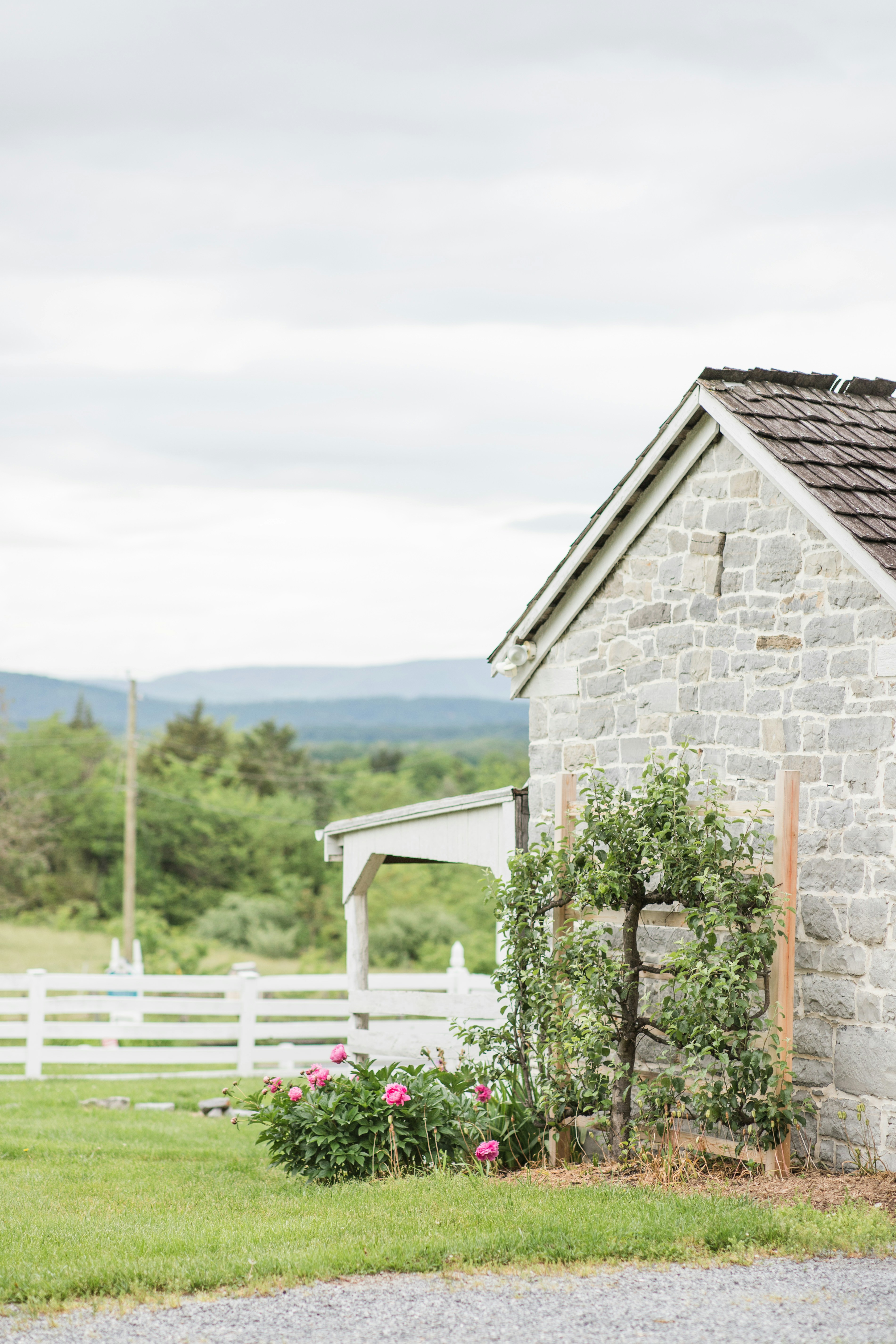 Photo by maryannaphoto