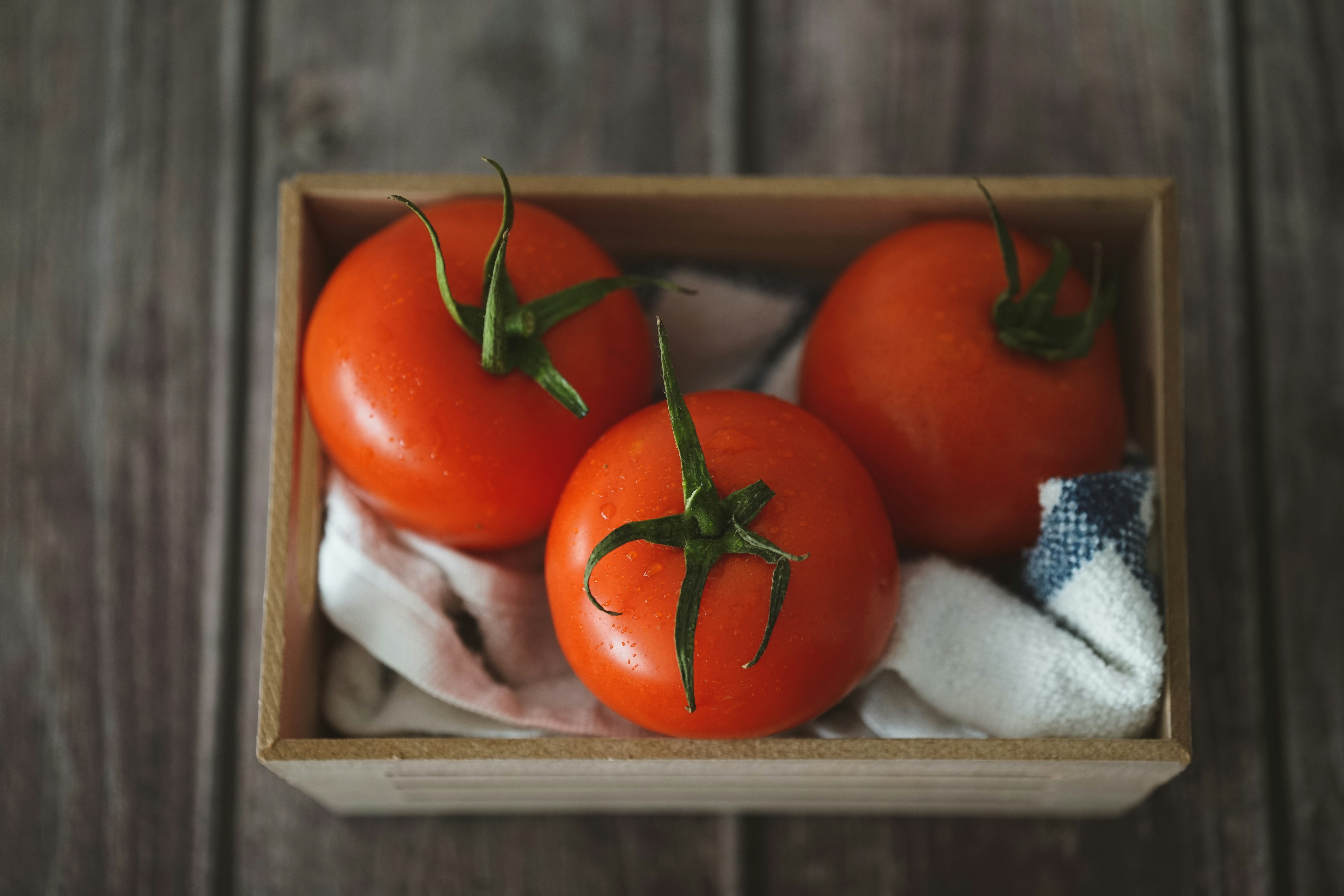 Cultivating Green Bliss: A Guide to Organic Gardening