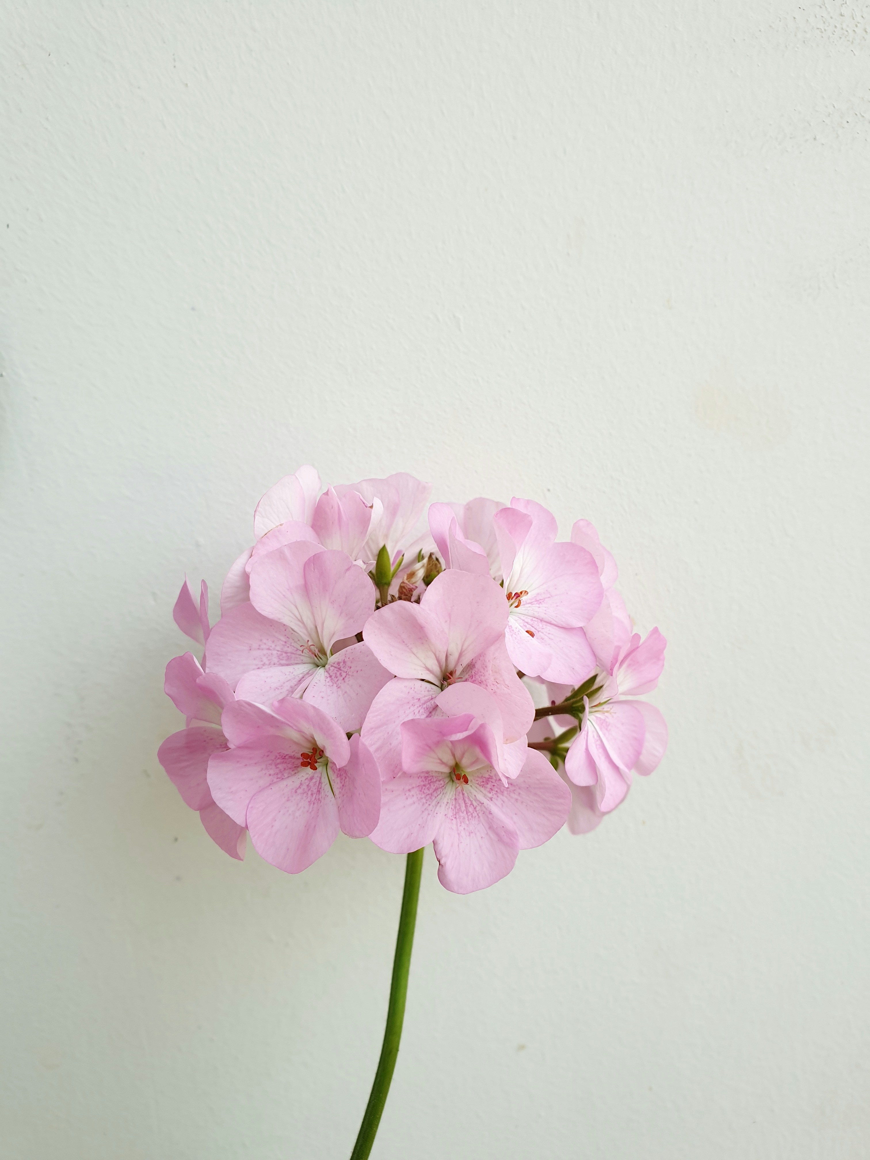 Photo by dhriti_das007