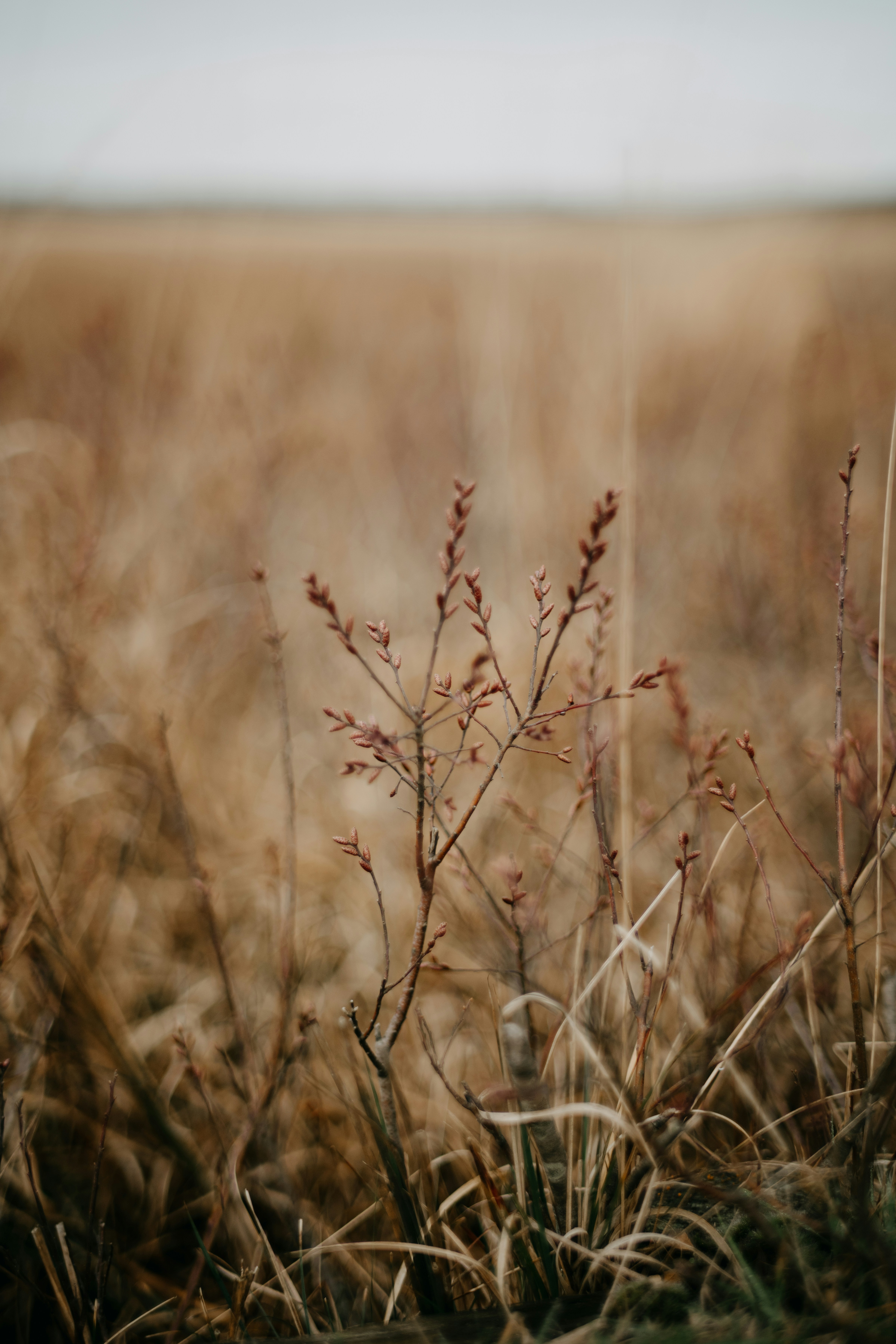 Photo by anniespratt