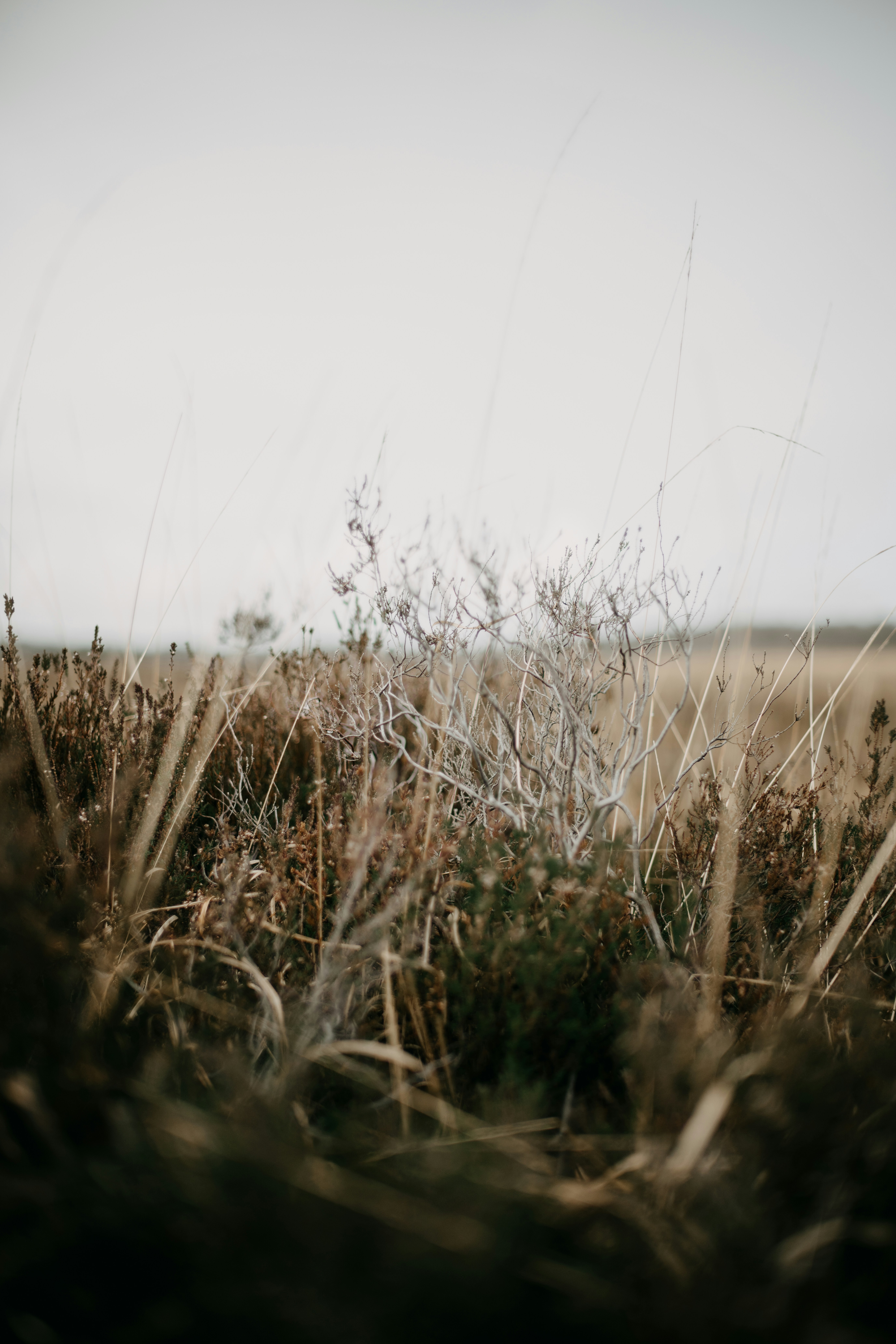 Photo by anniespratt