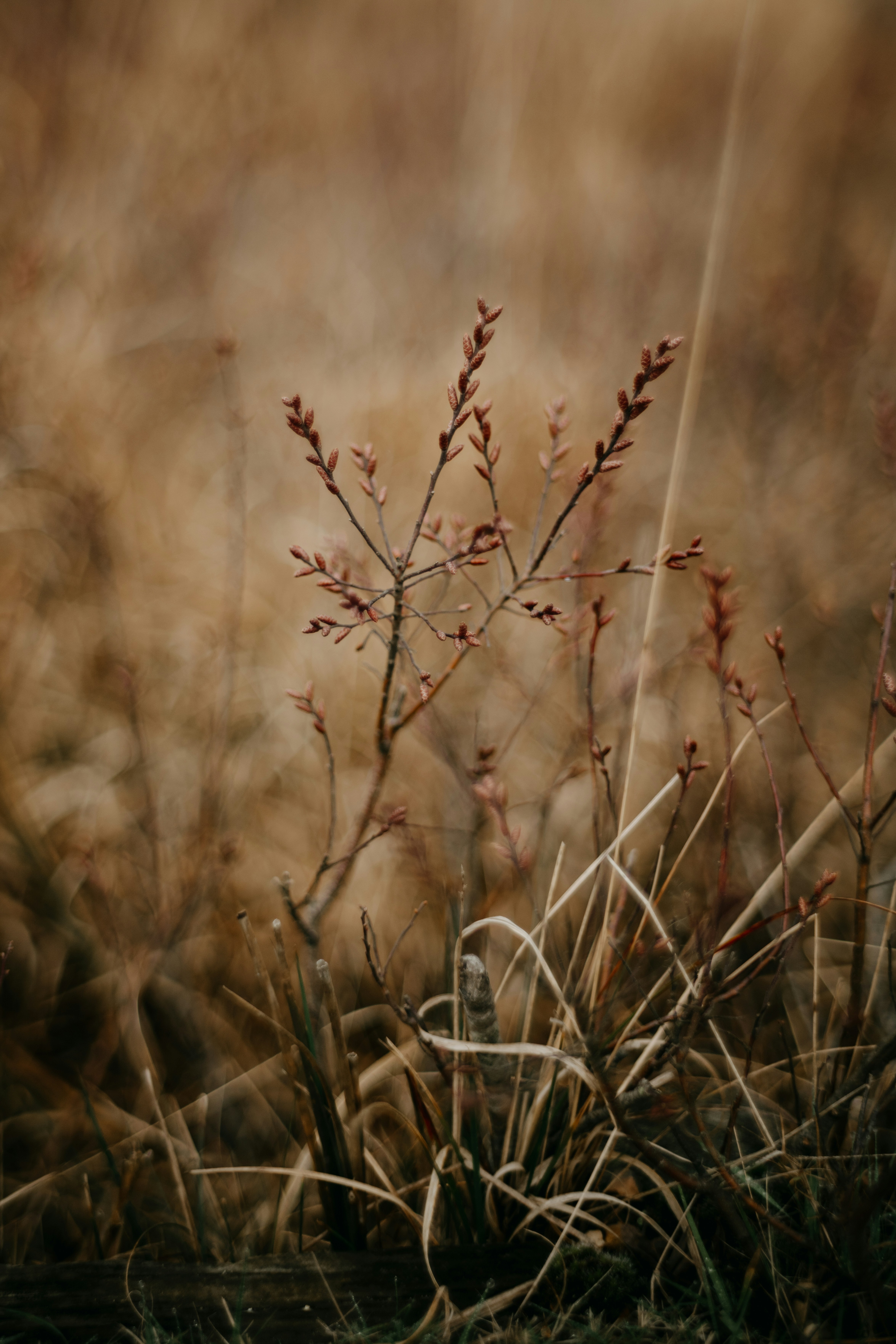 Photo by anniespratt