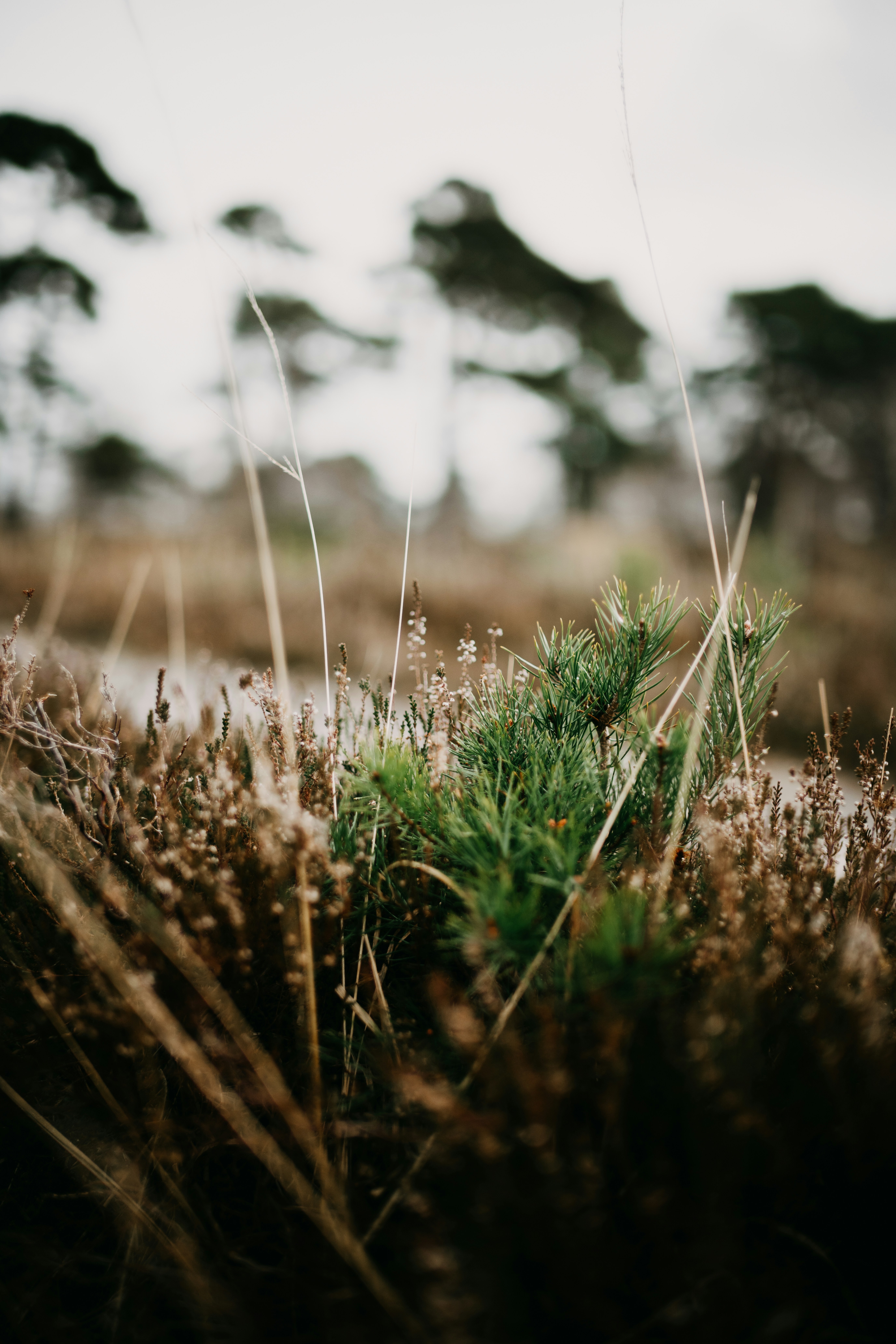 Photo by anniespratt