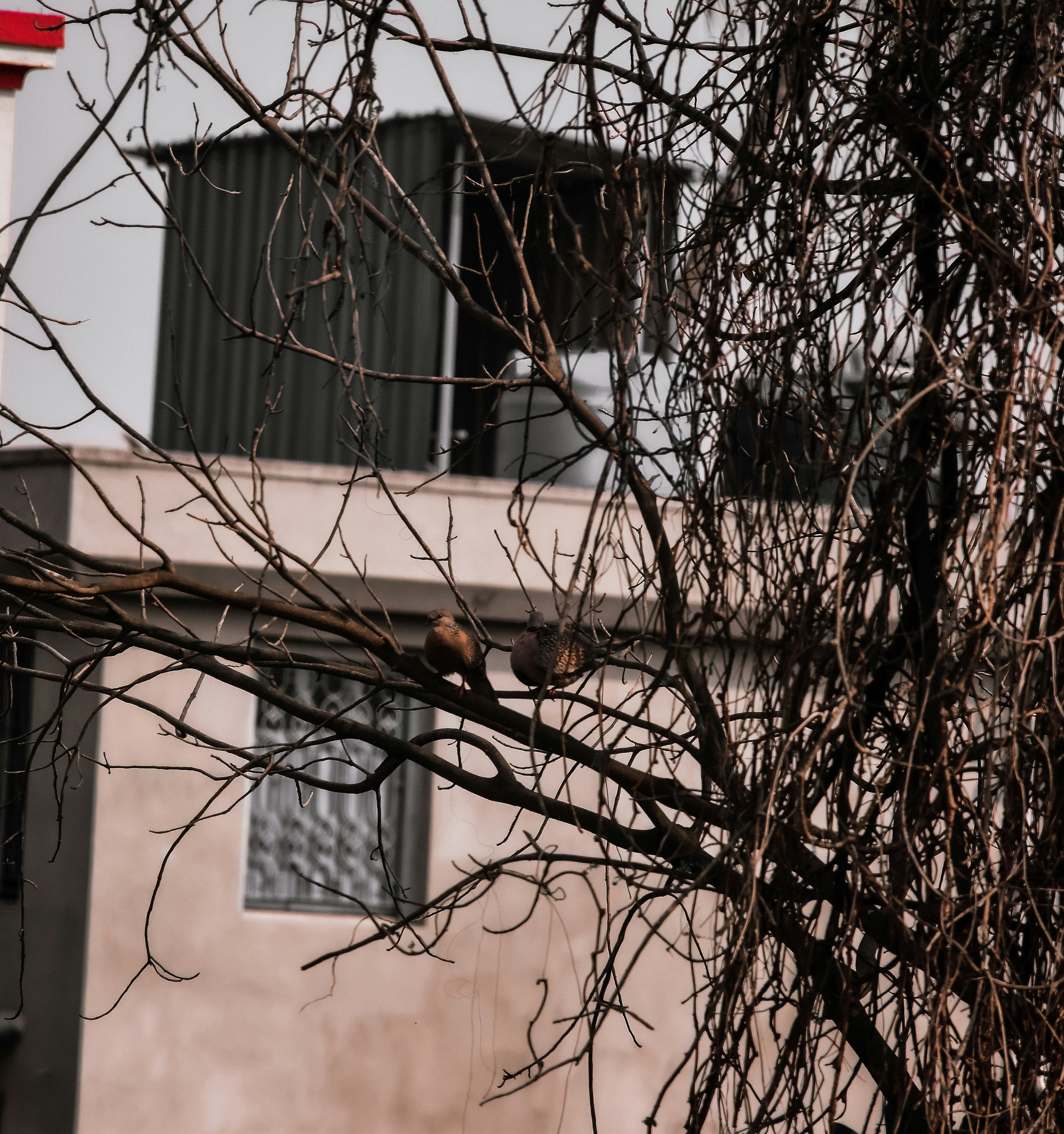 Photo by ankita_clicks