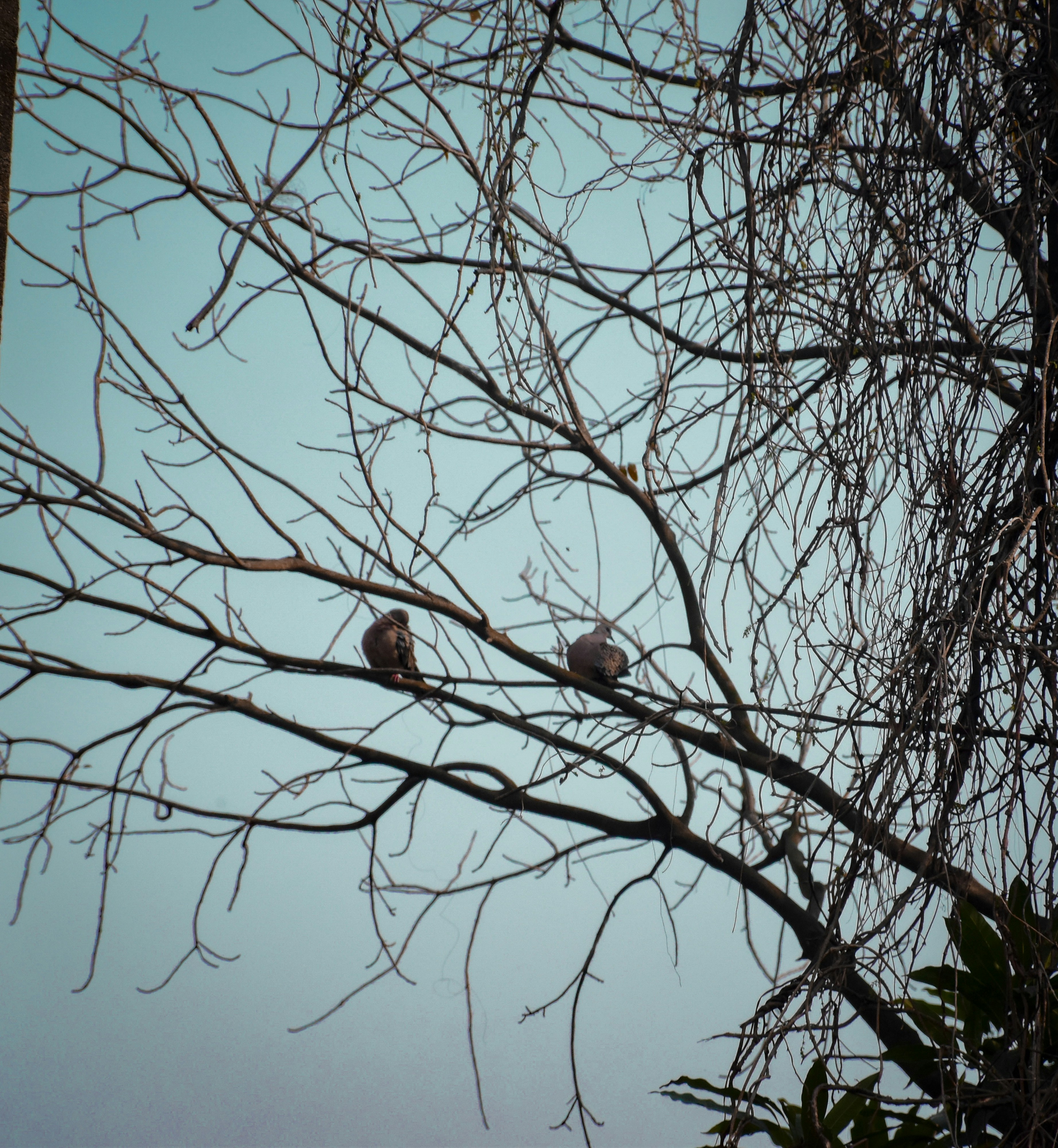 Photo by ankita_clicks