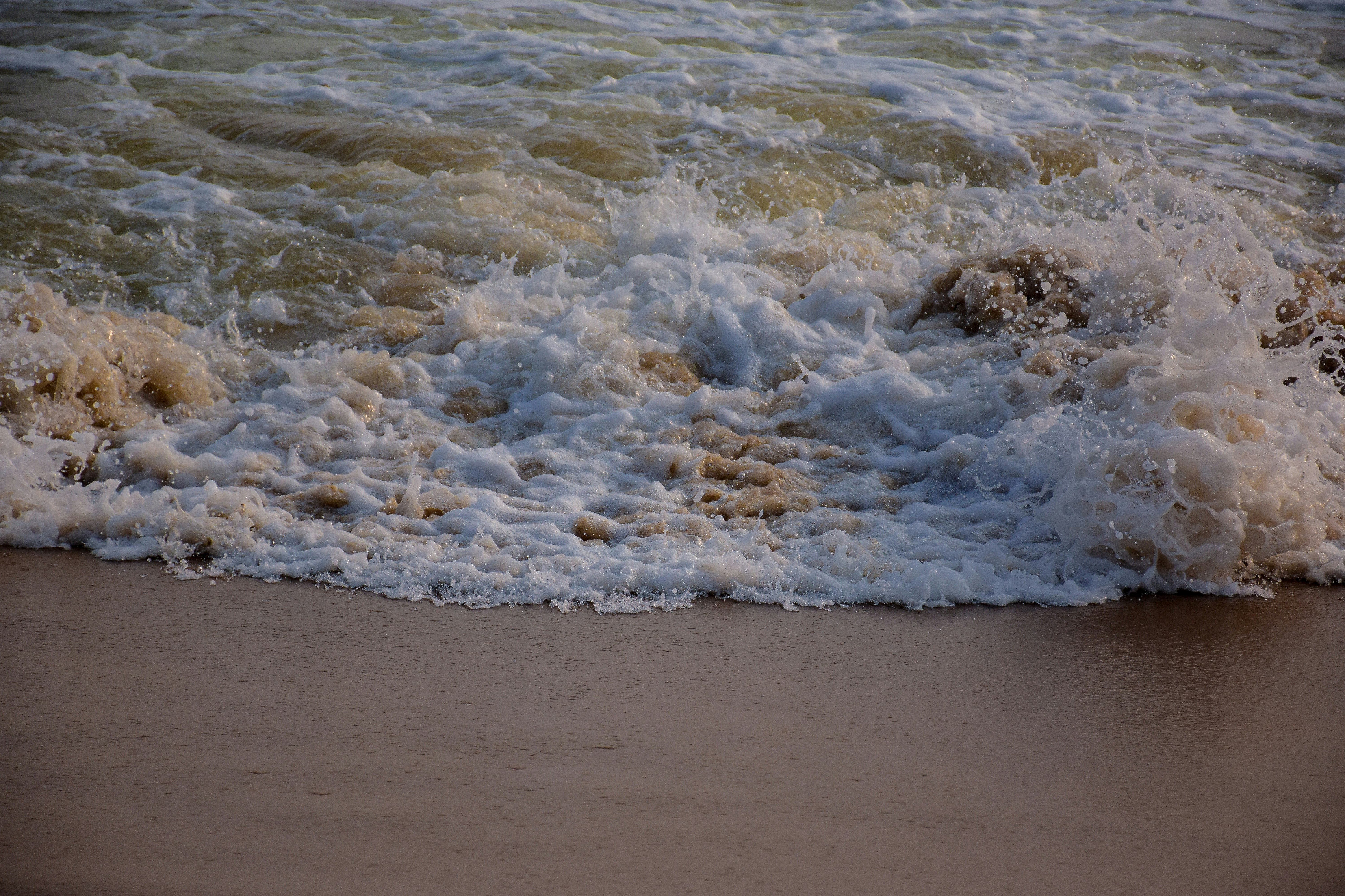 Photo by ankita_clicks