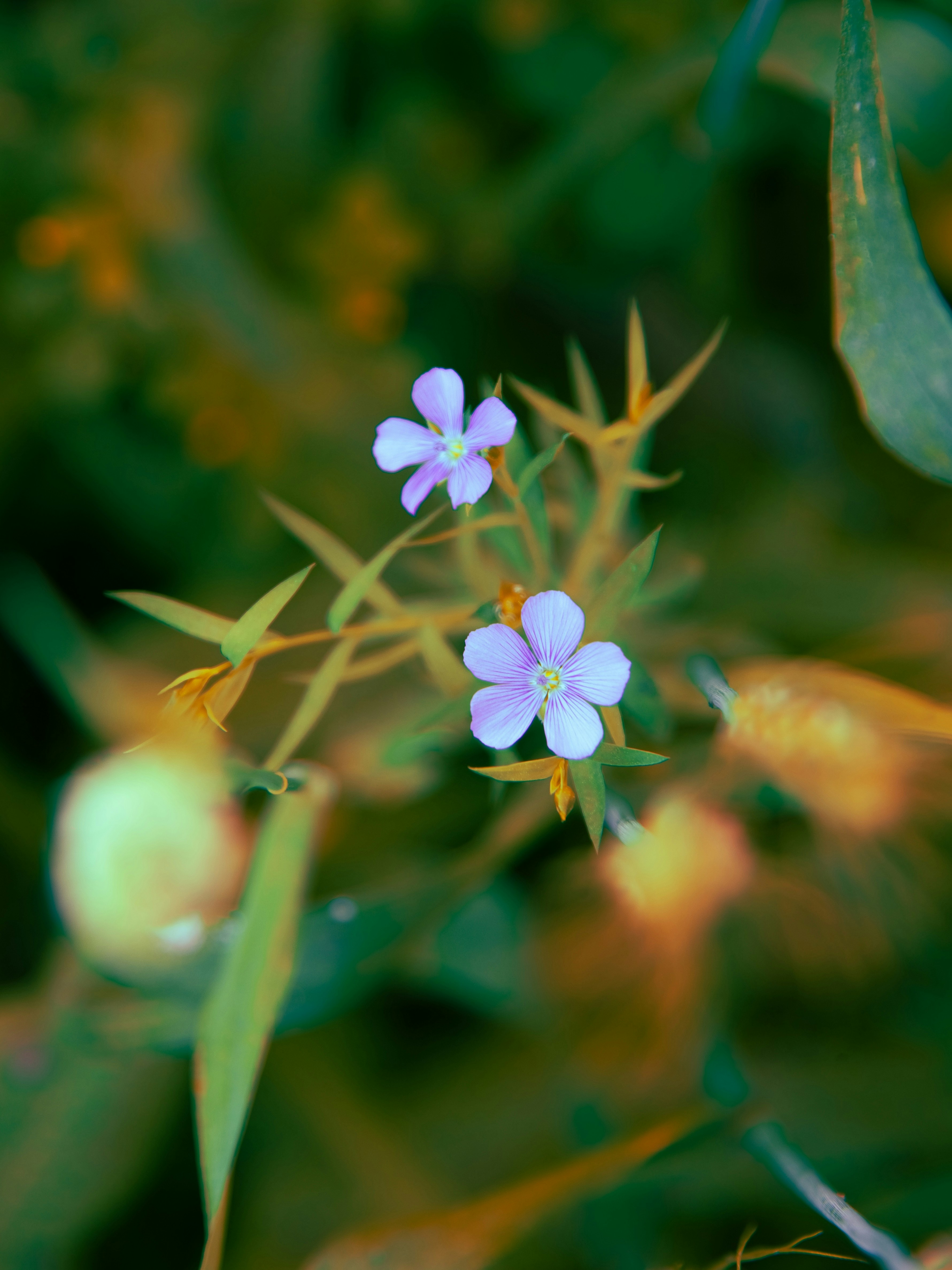 Photo by jatin_punia