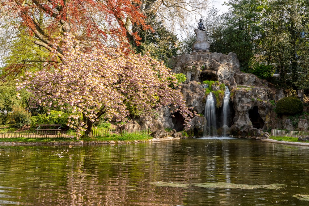 a pond with a waterfall in the middle of it