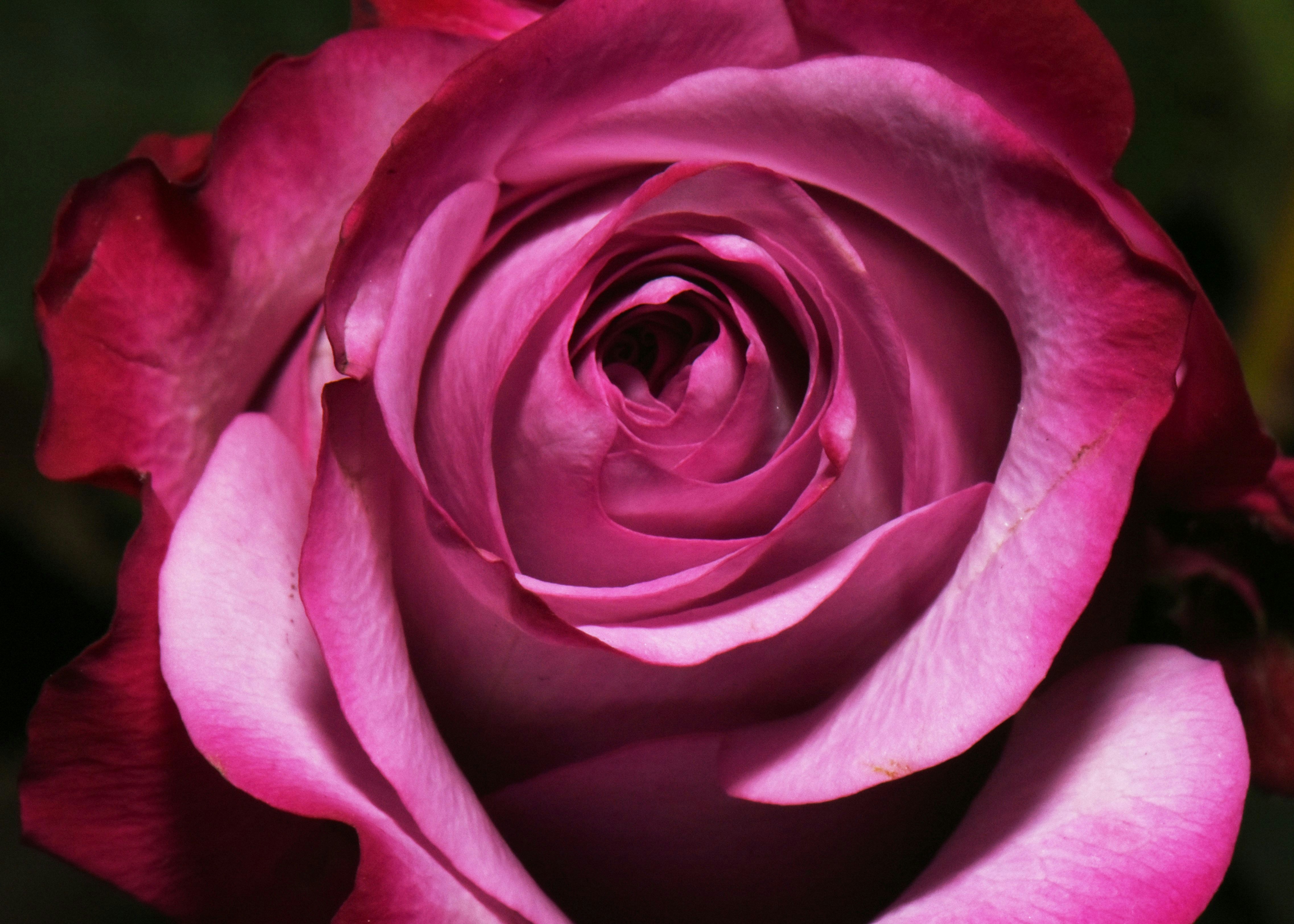 Photo by svaughn1984