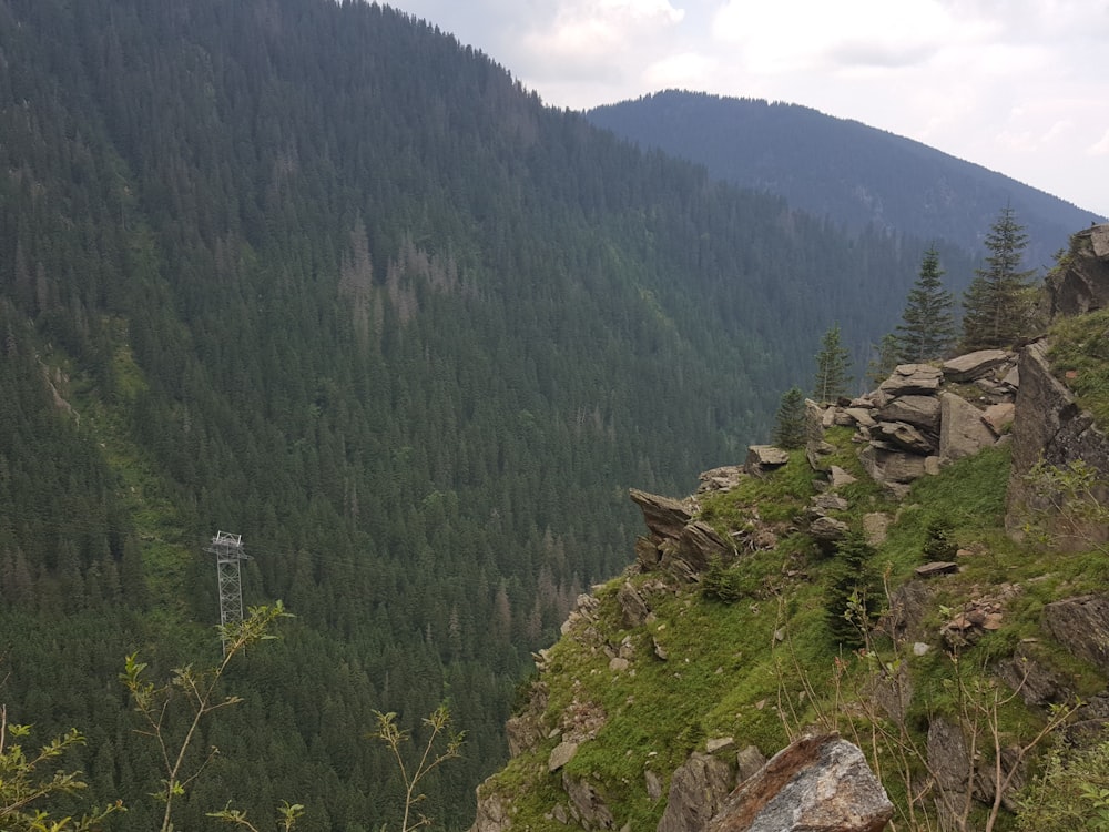 a view of a mountain with a forest in the background