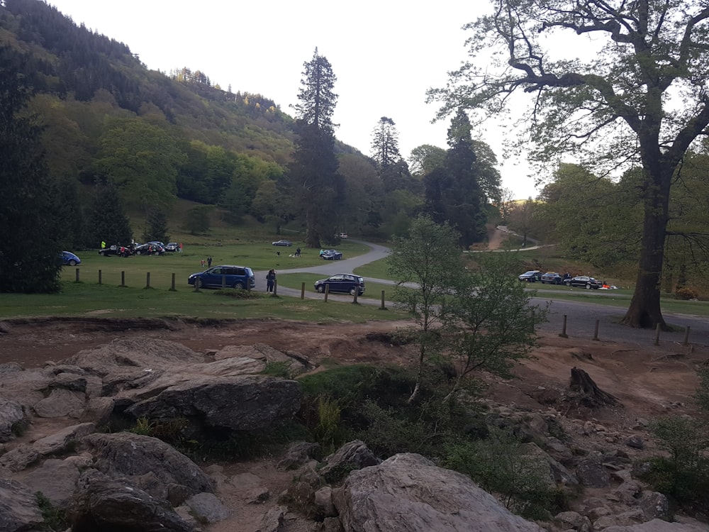 a group of cars parked on top of a lush green hillside