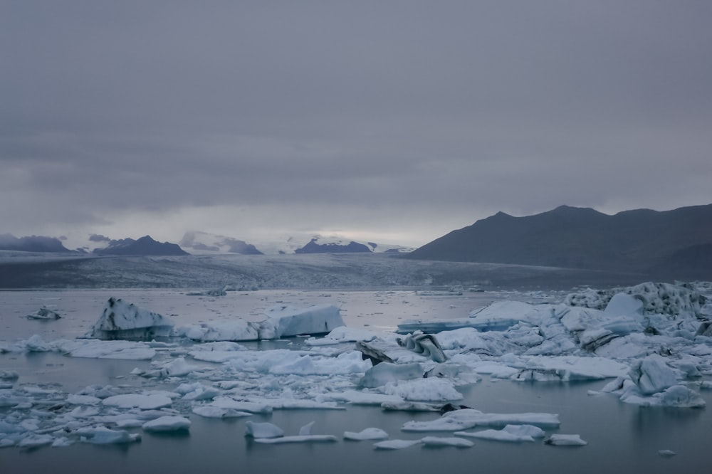 a large amount of ice floating on top of a body of water