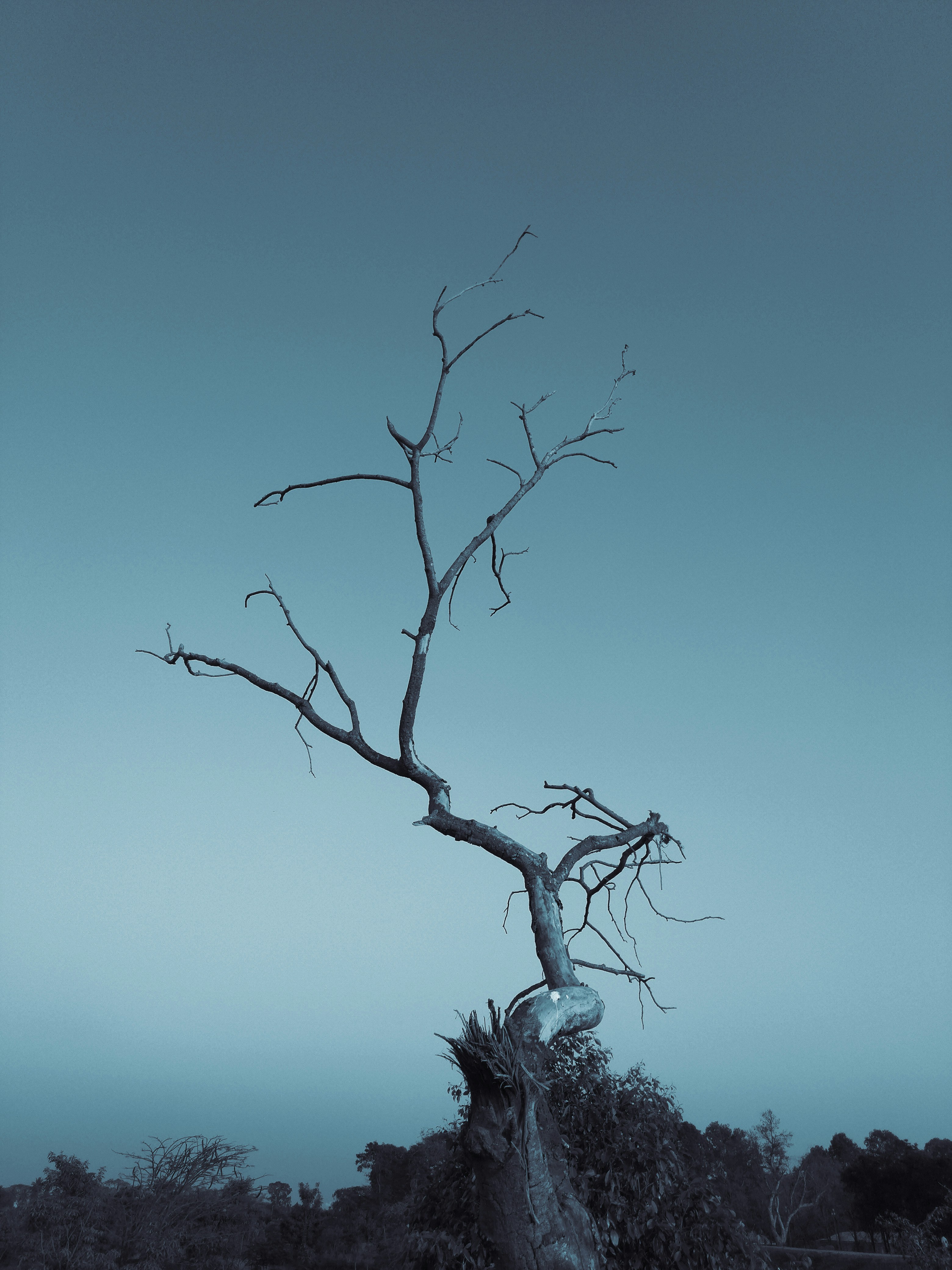 Photo by abhijithj20