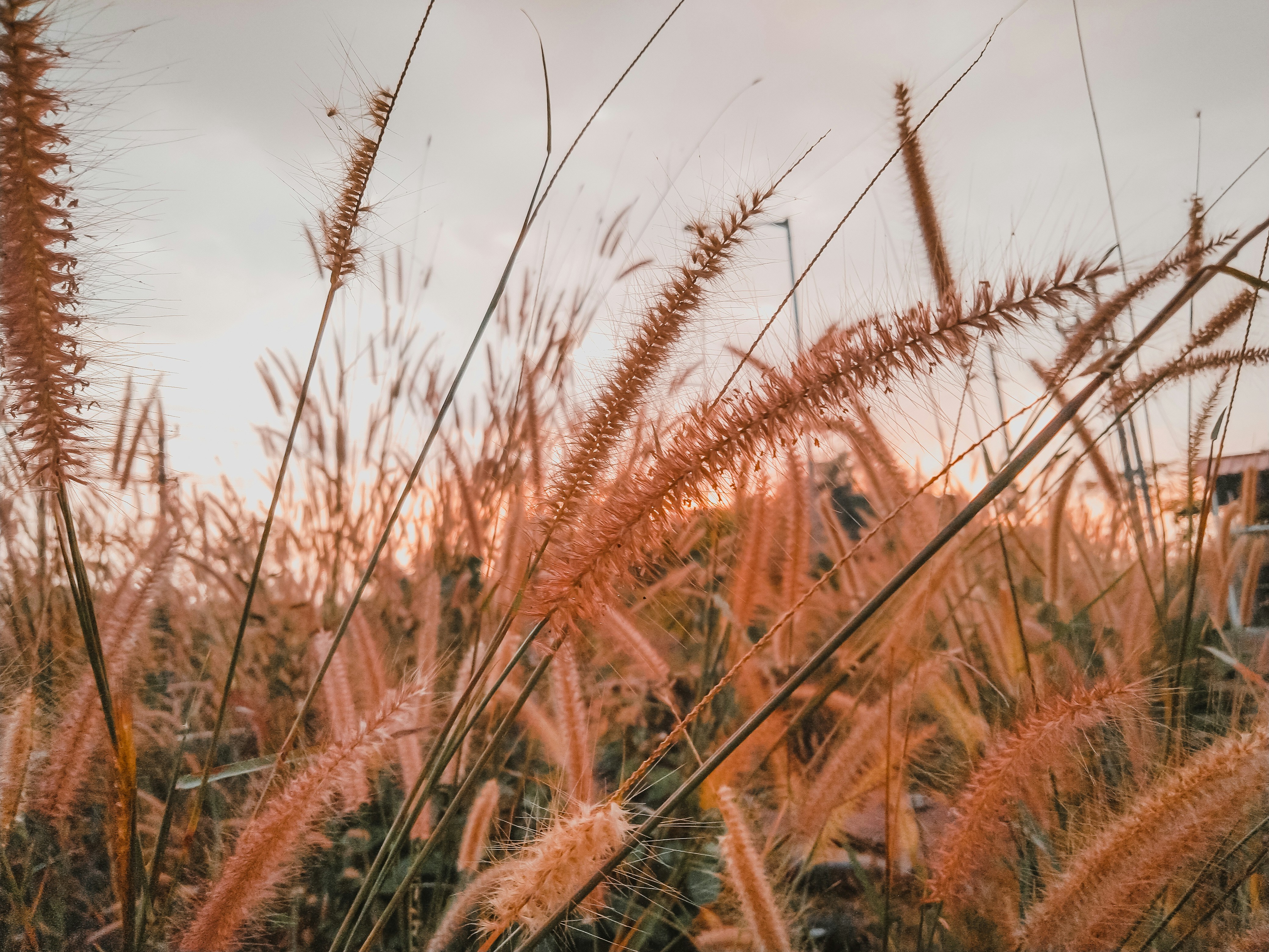 Photo by abhijithj20