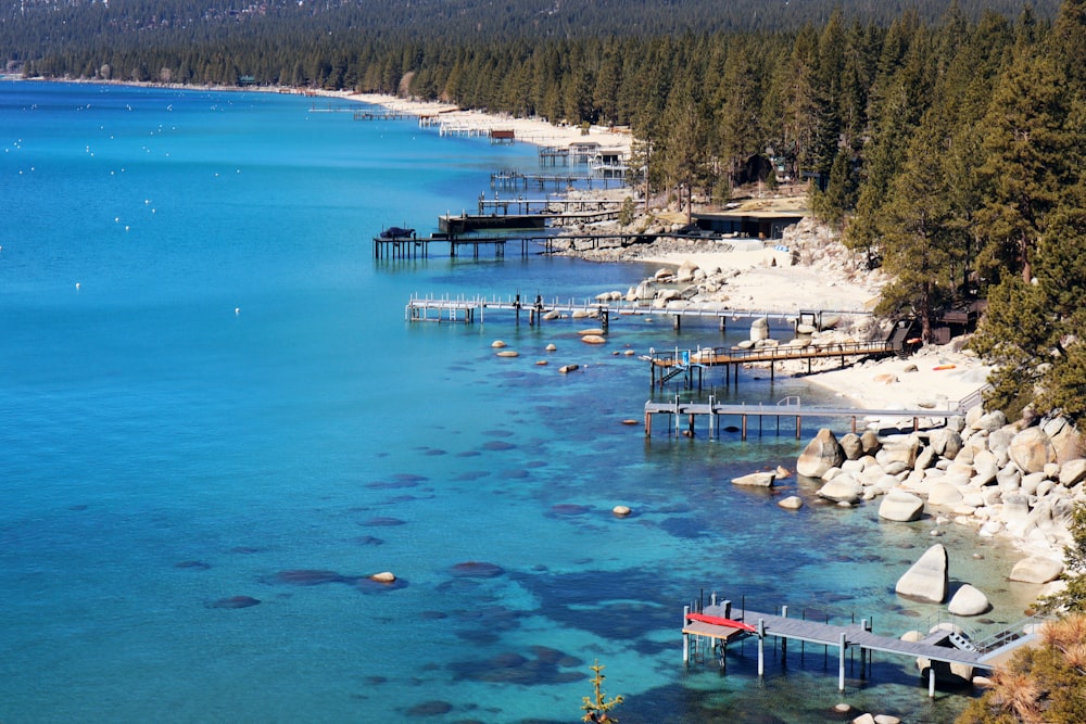 a body of water surrounded by trees and rocks