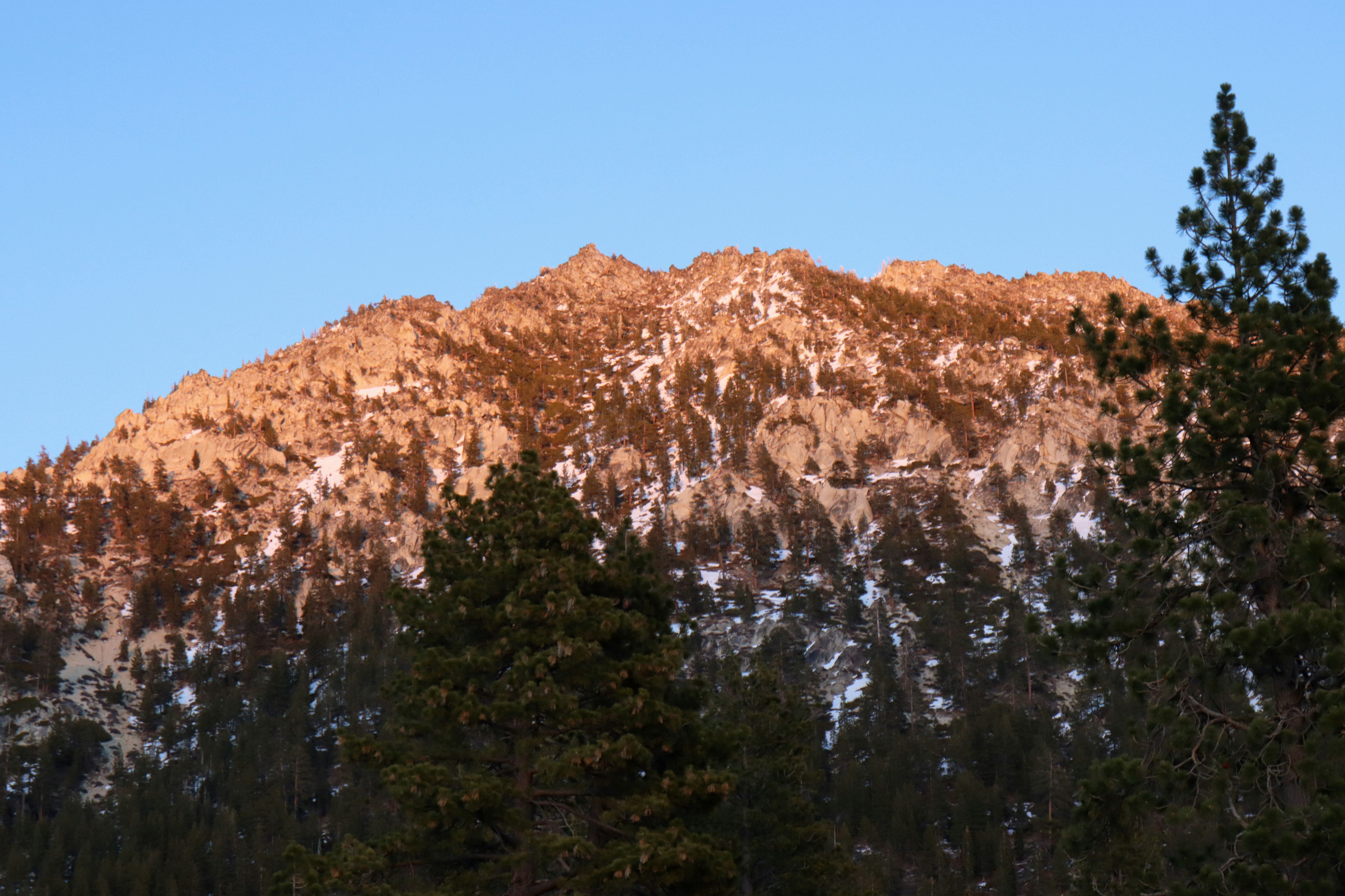 a mountain covered in snow and trees under a blue sky