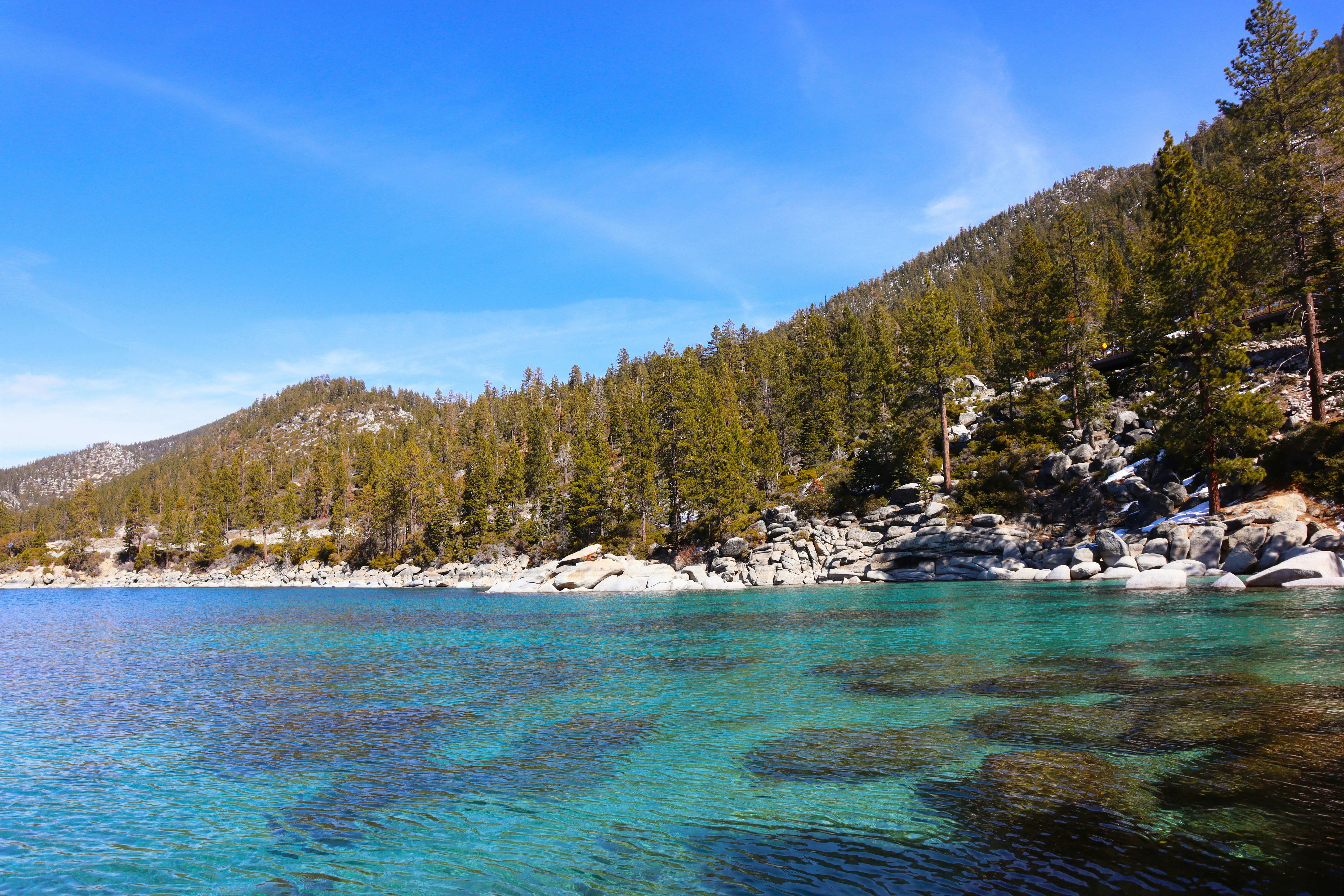 a body of water surrounded by trees and rocks