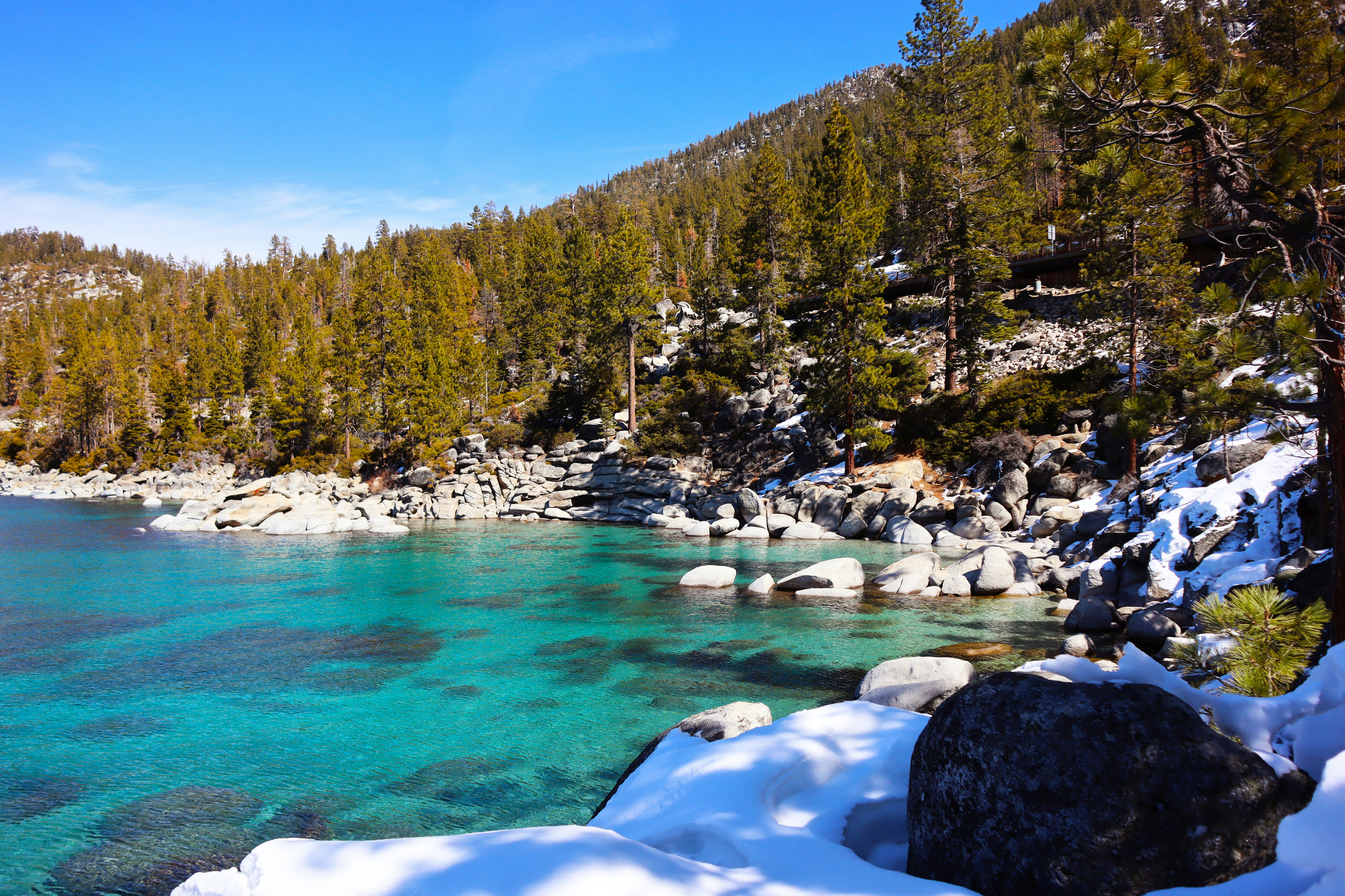 a body of water surrounded by snow covered trees