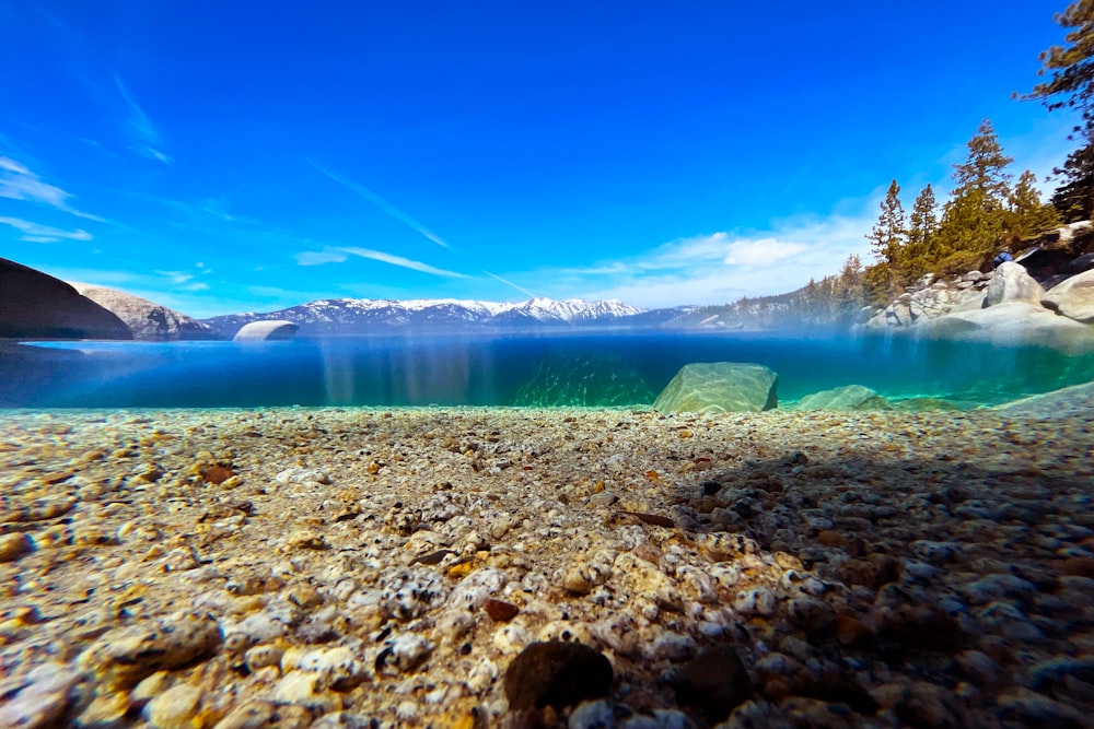an underwater view of a lake with rocks and trees