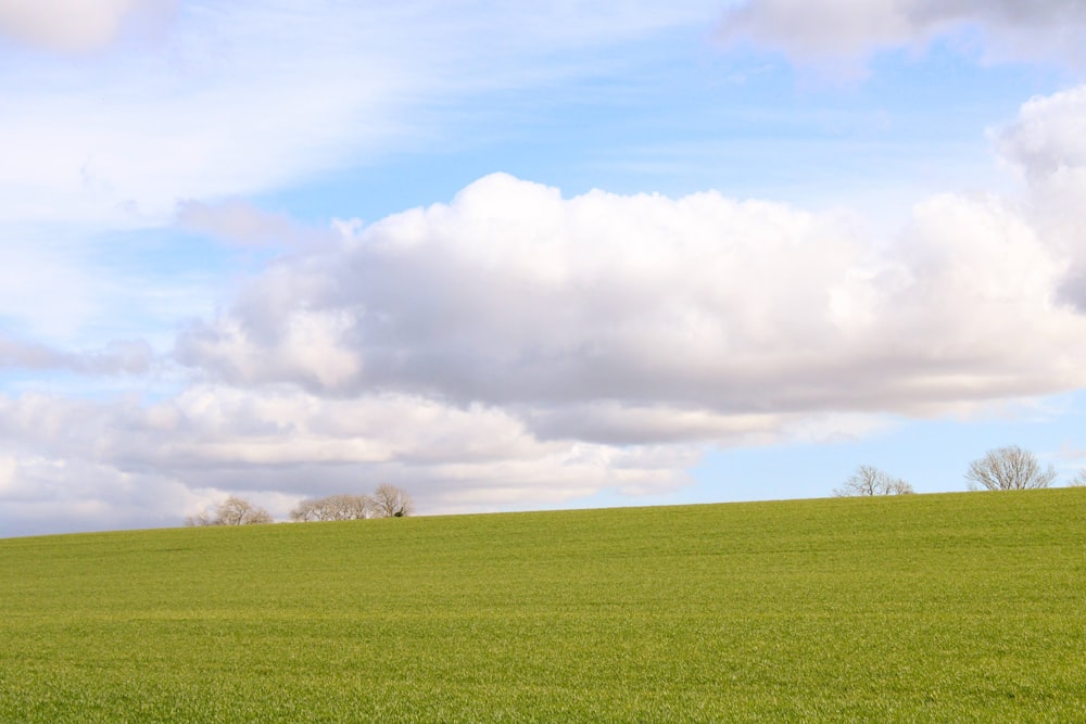 a green field with trees and clouds in the background