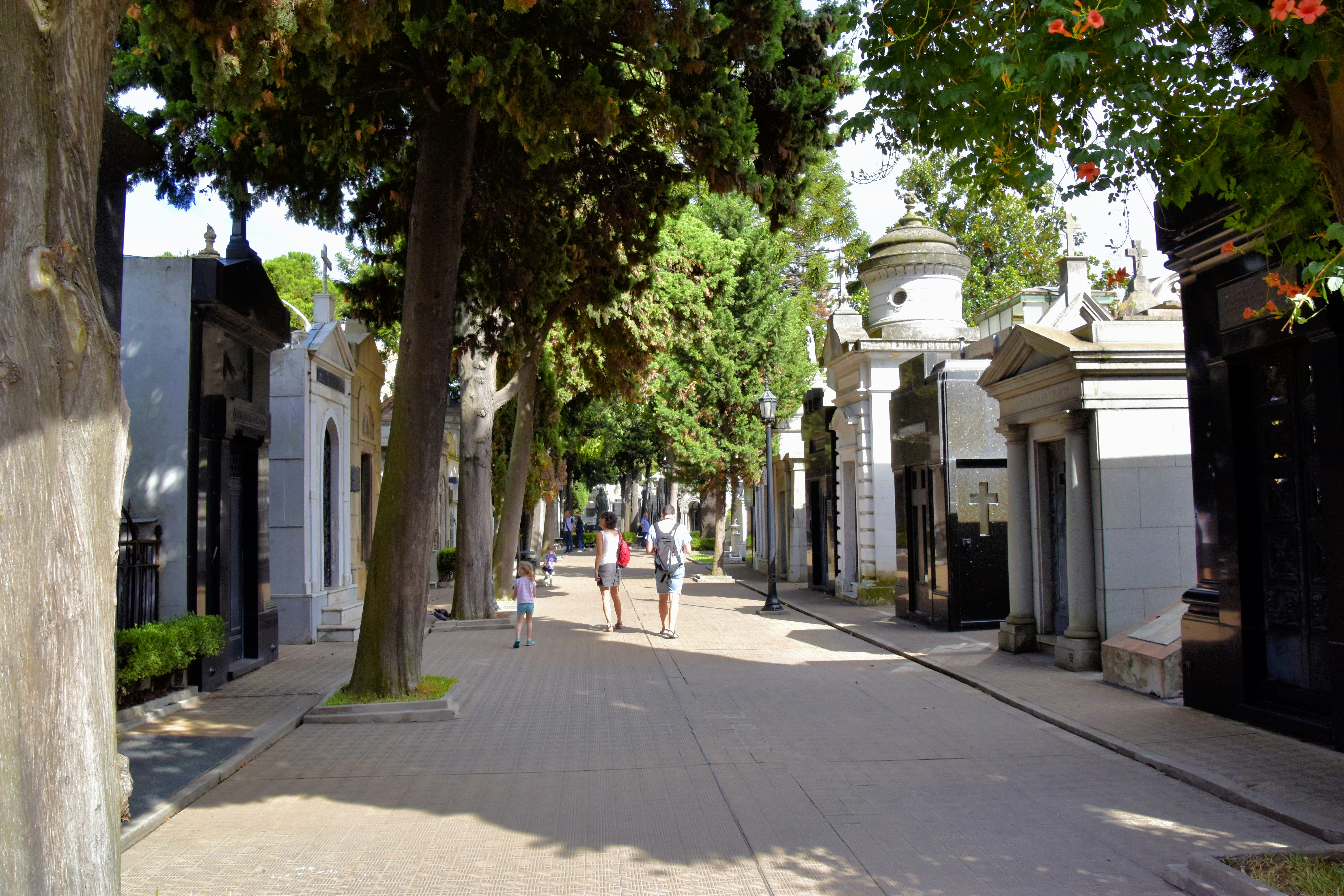 Calle de Alfonso I photo 3
