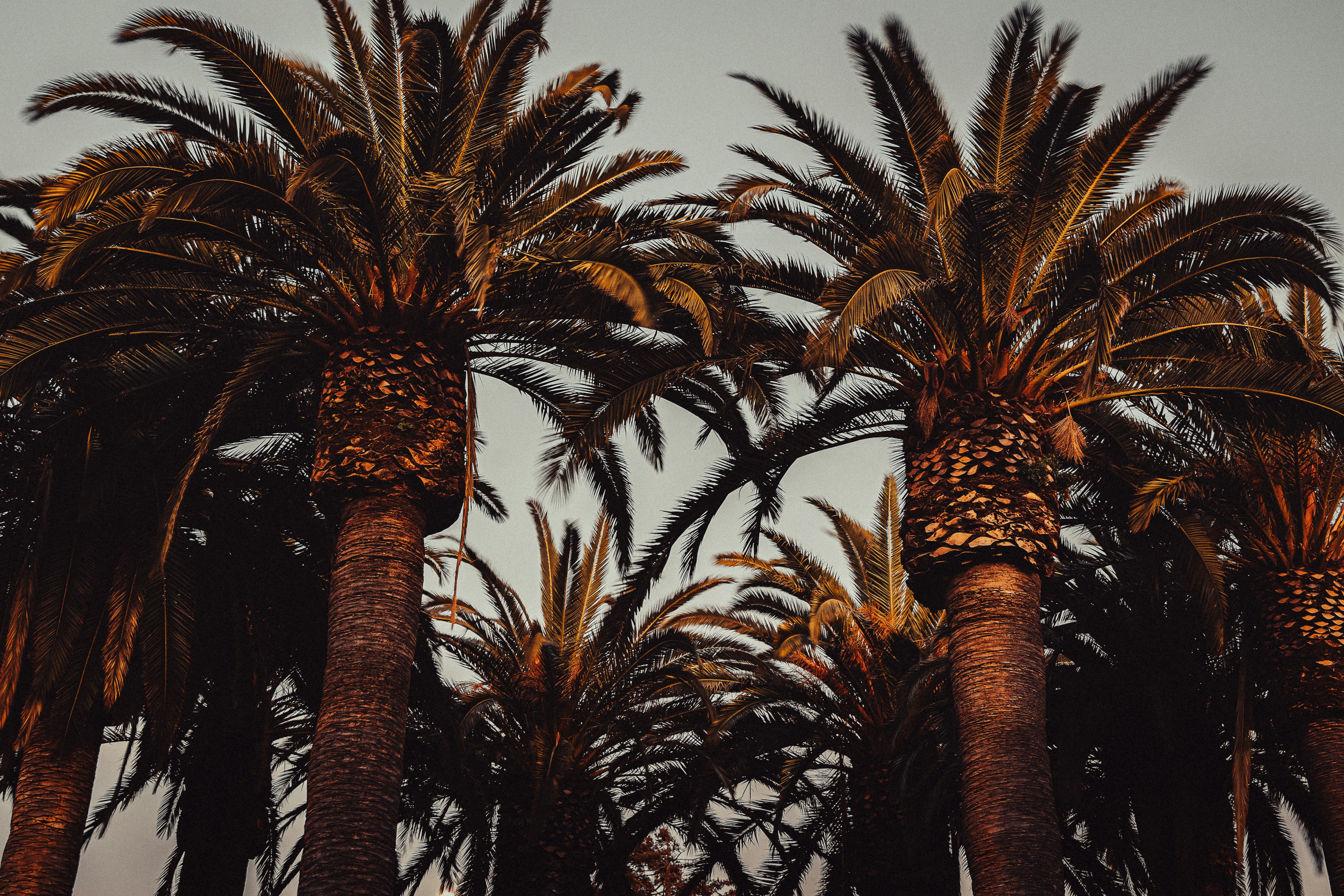 Photo by kalaniparker