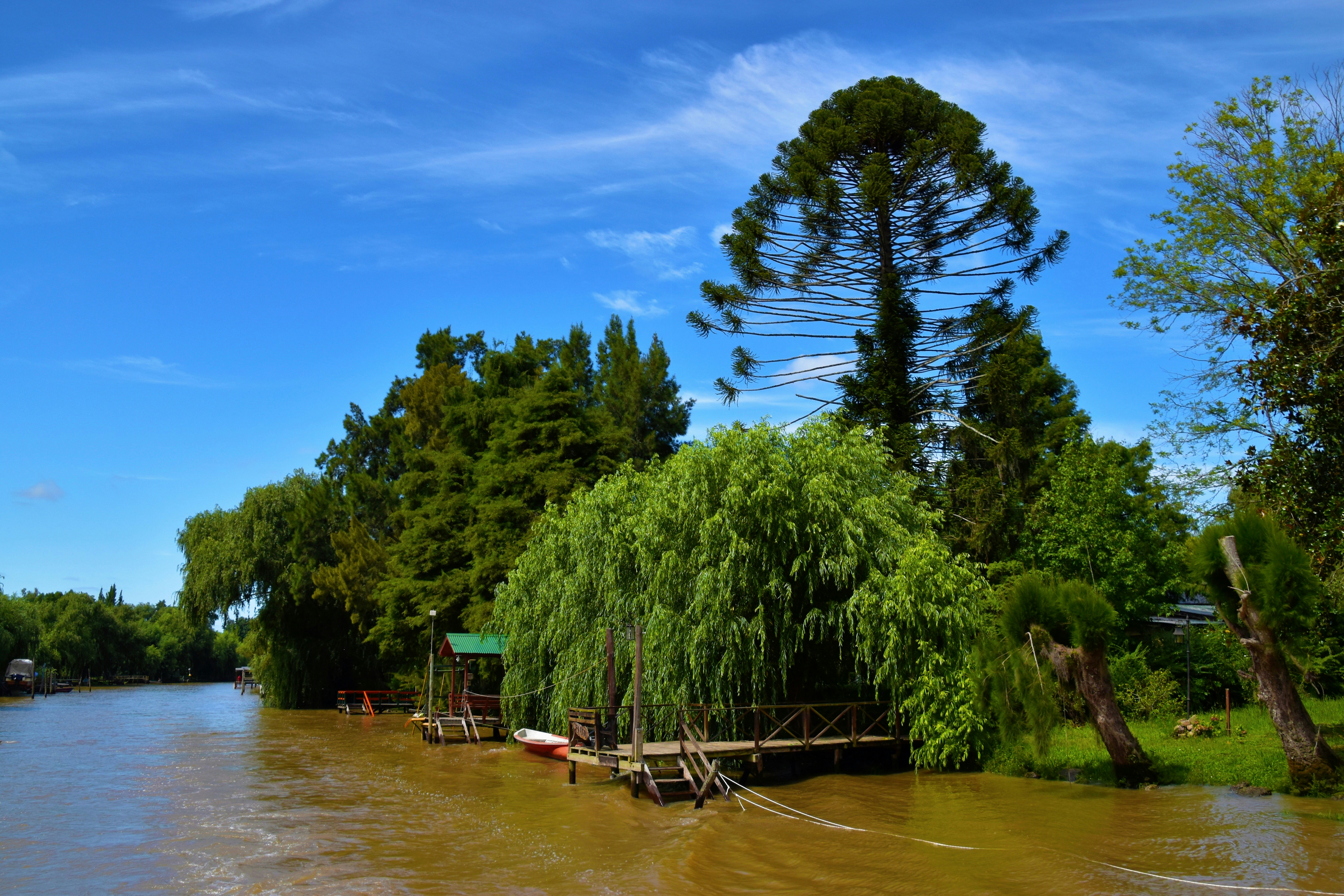 a body of water surrounded by trees and a dock