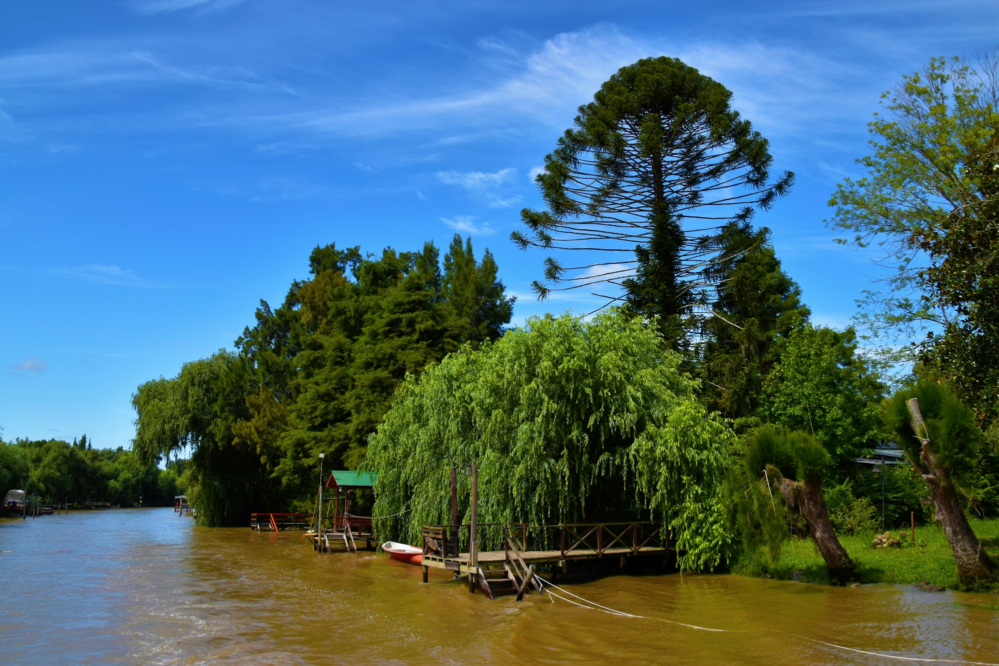 a body of water surrounded by trees and a dock