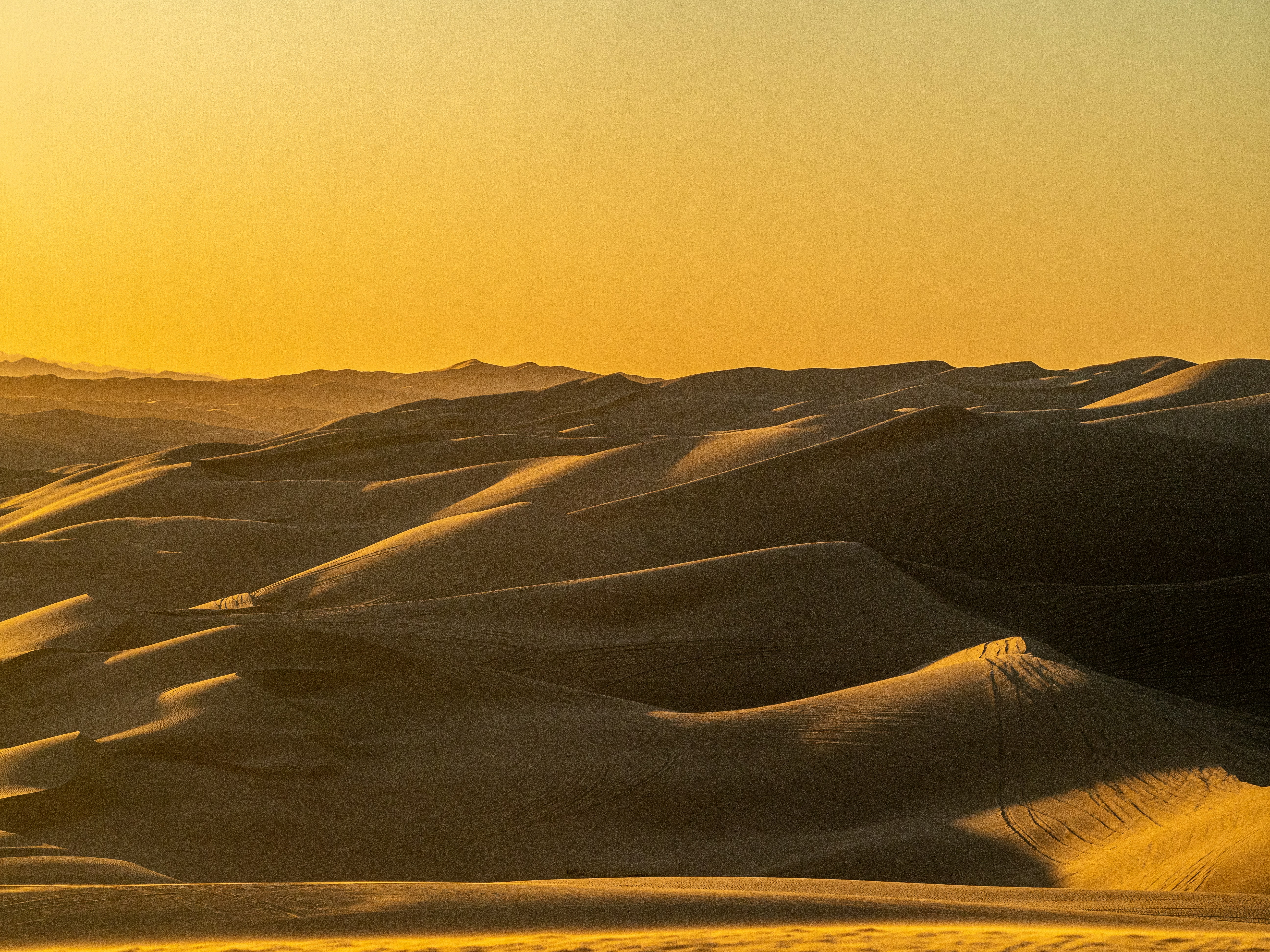 Majestic dunes of the Sahara Desert with camels at sunset