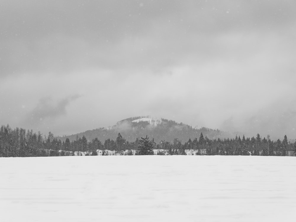 a black and white photo of a snow covered mountain