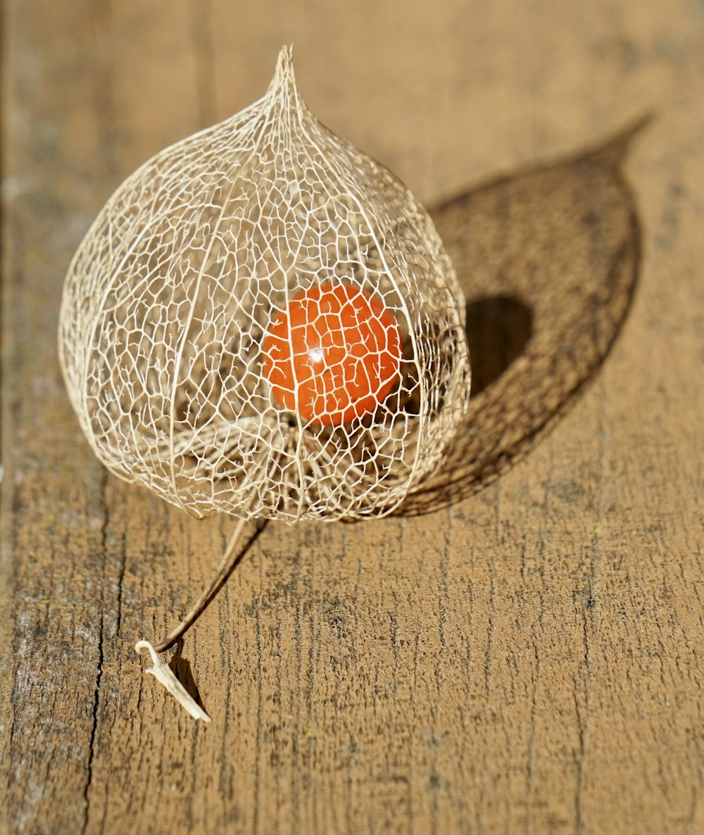 a string bag with an orange inside sitting on a wooden surface