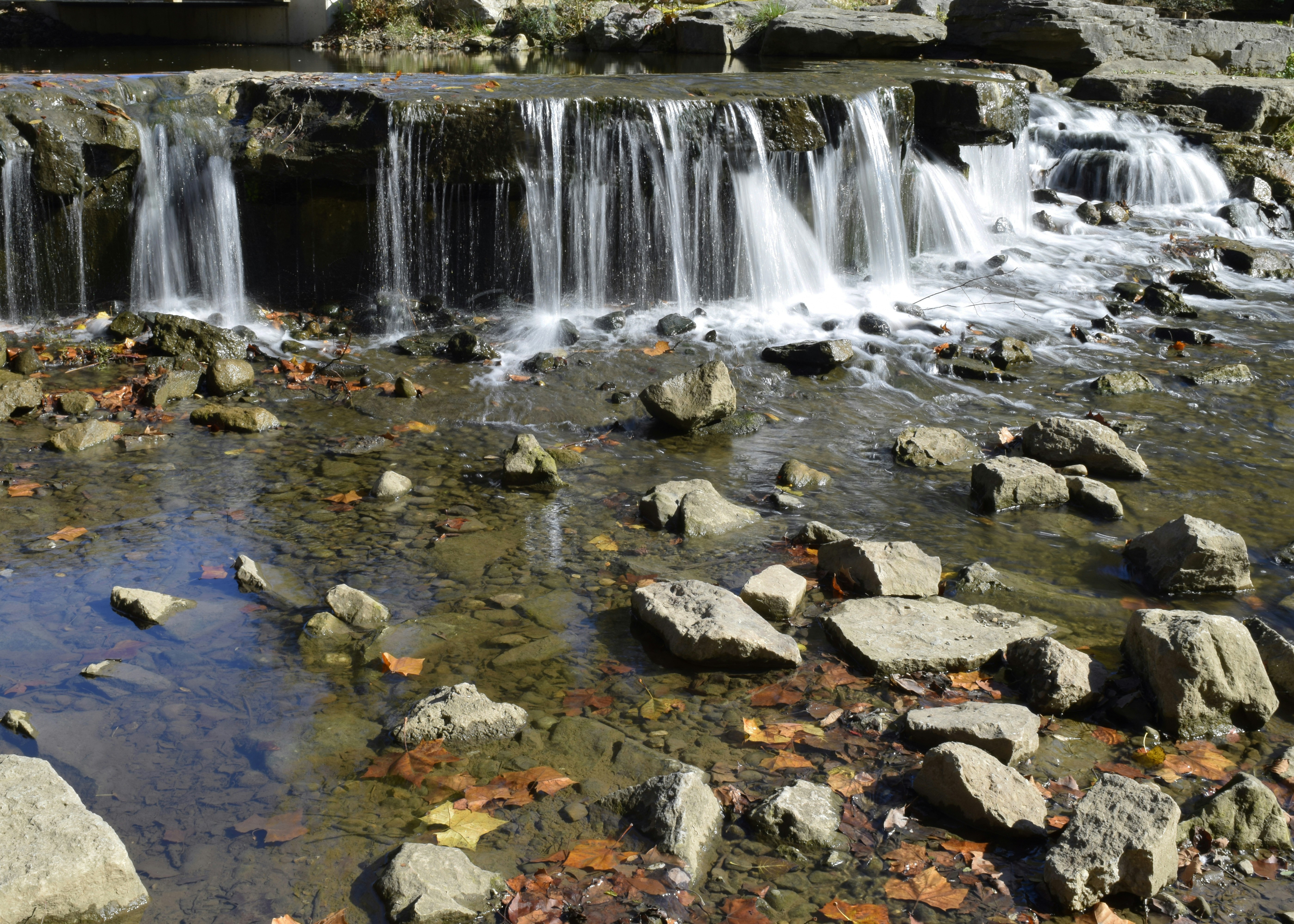 Water fall in the woods at Creekside Park