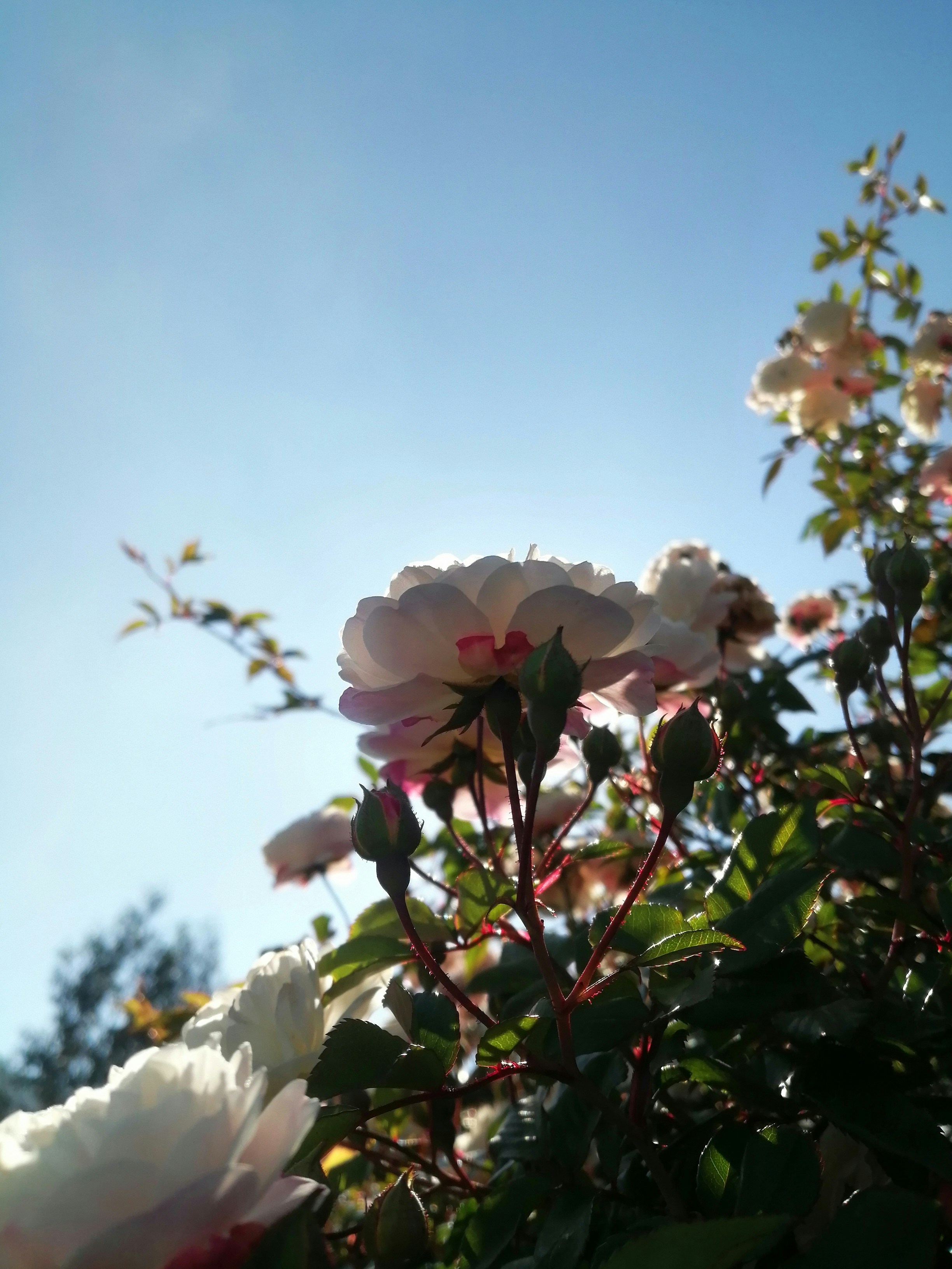 Photo by camilo_0101