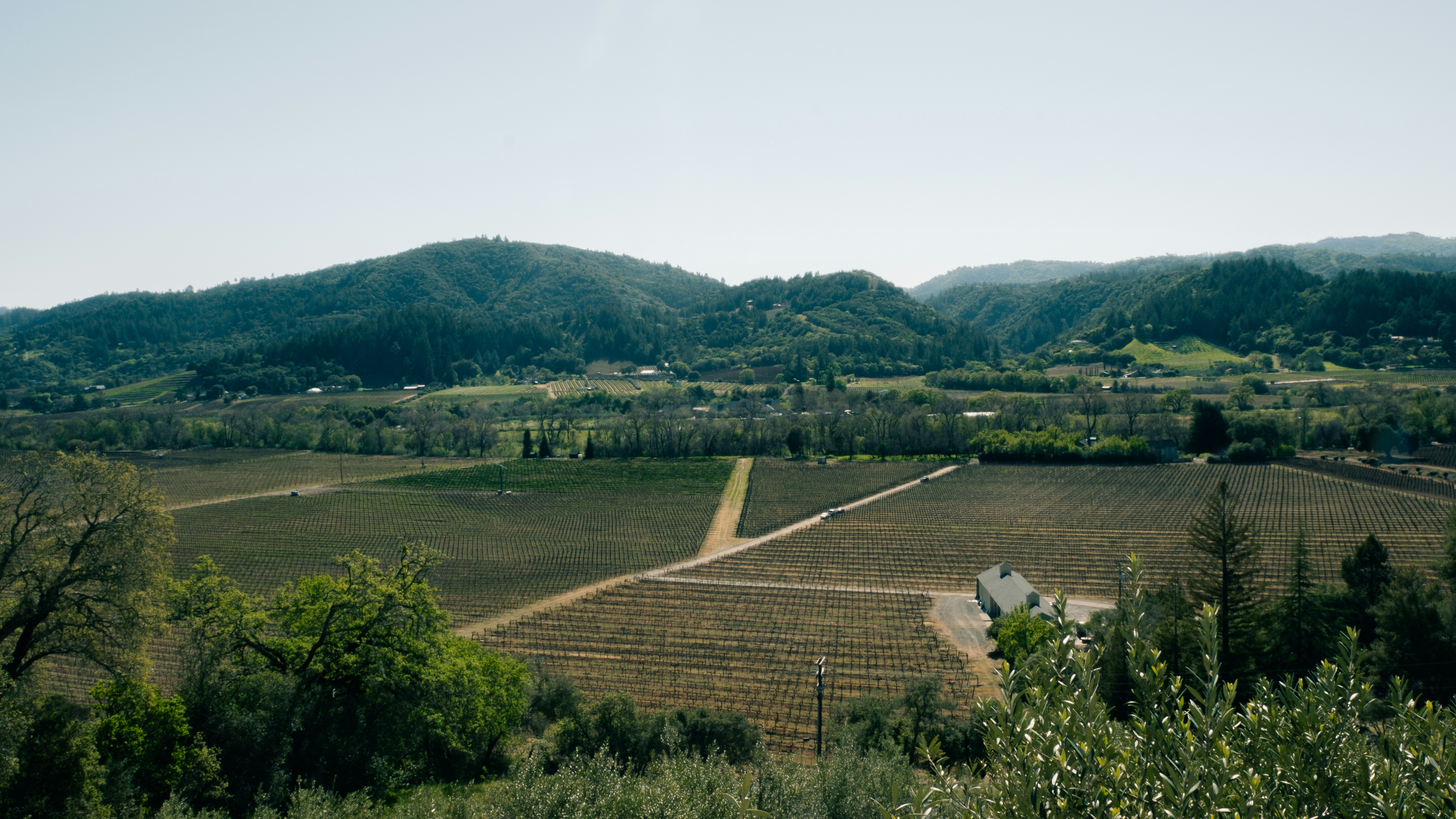 Photo by migueldominguez