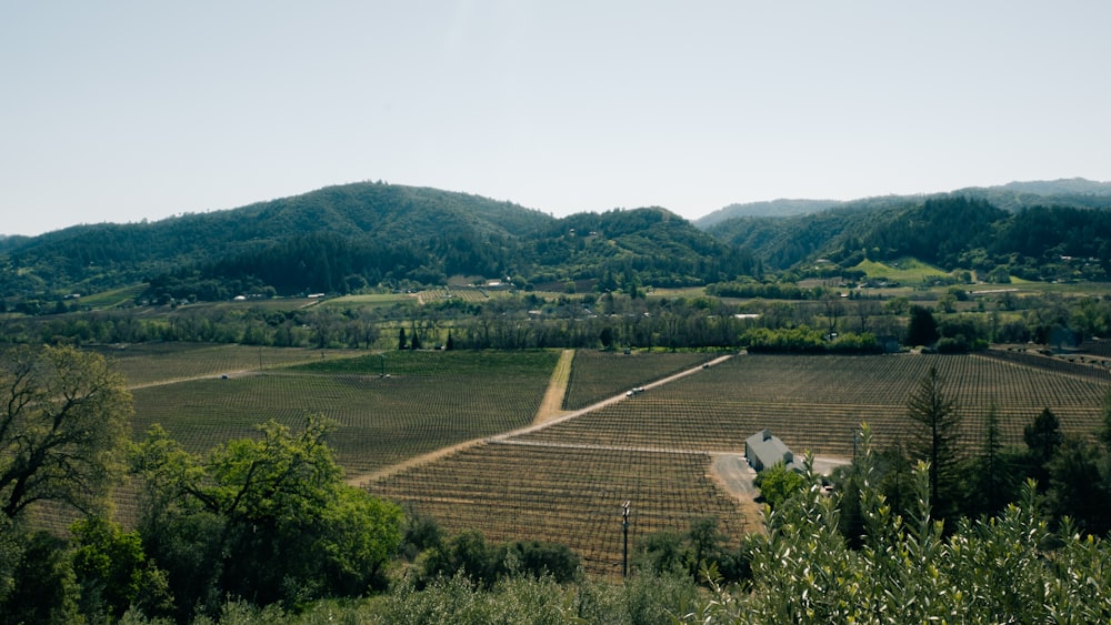 a view of a farm with mountains in the background