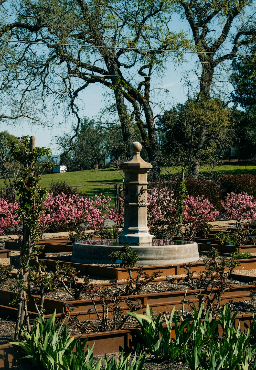 a statue in the middle of a flower garden